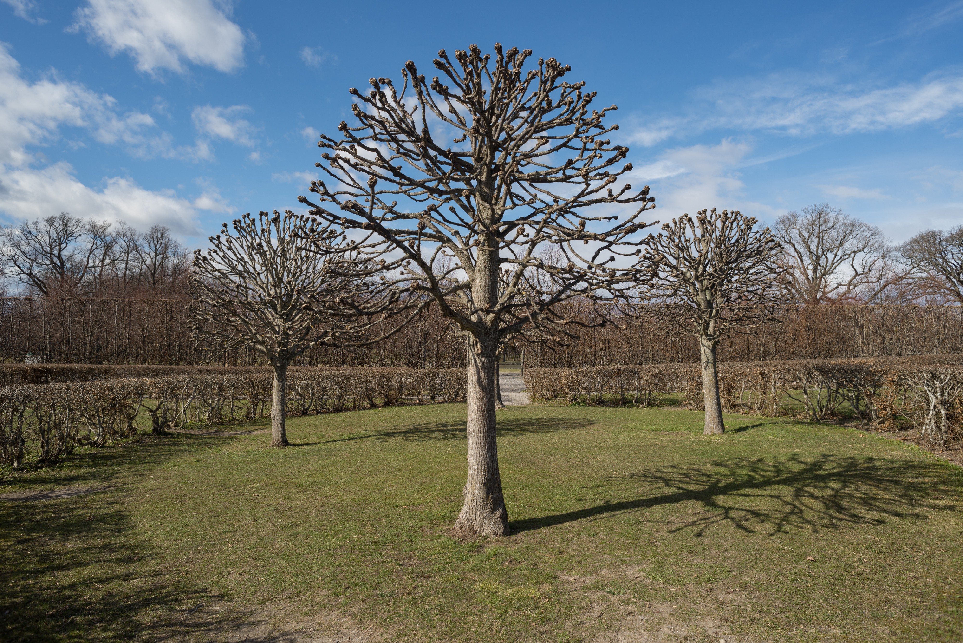 Drottningholm April 2015 02
