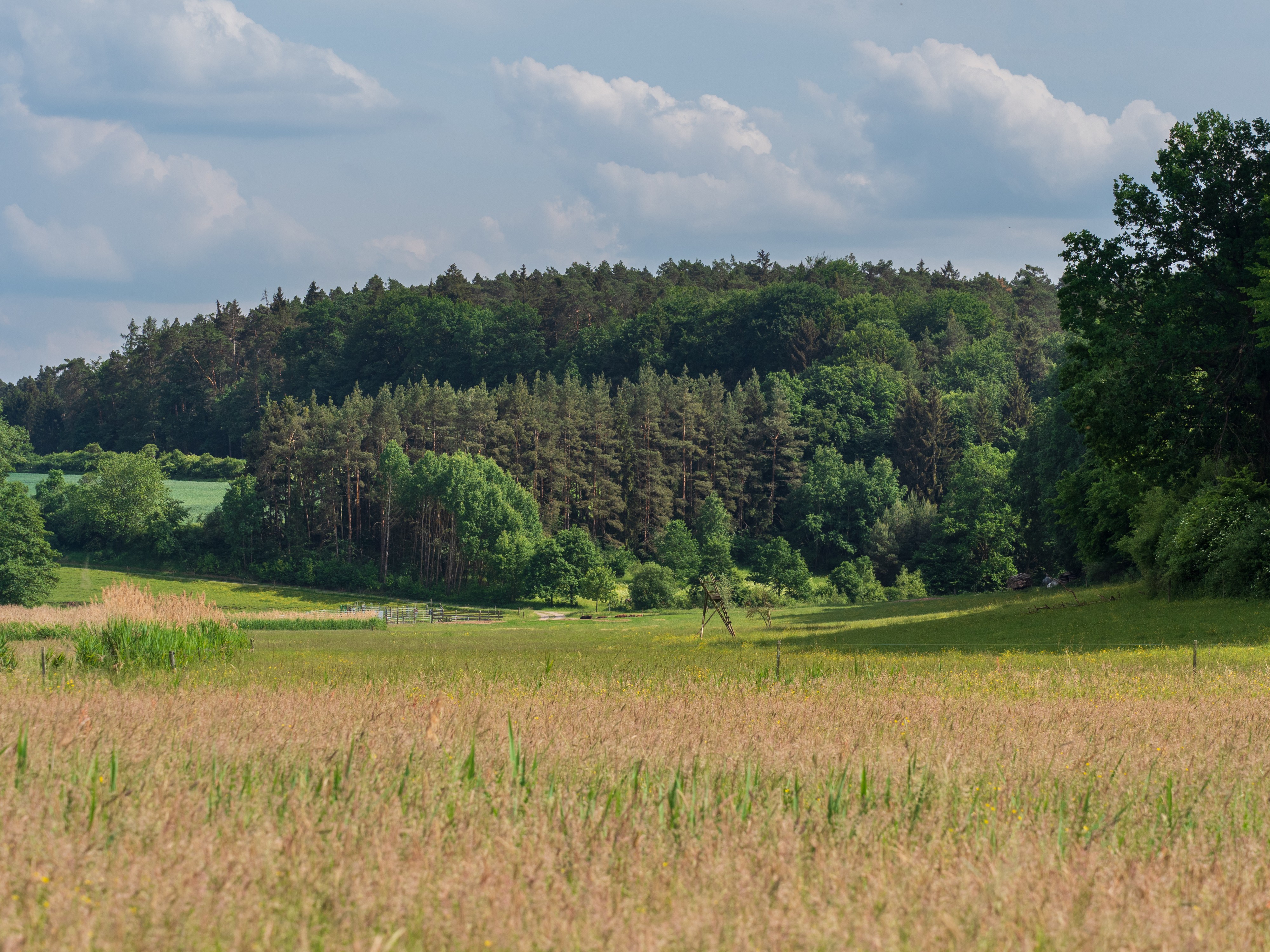 Feigendorf Aurachtal 5221847