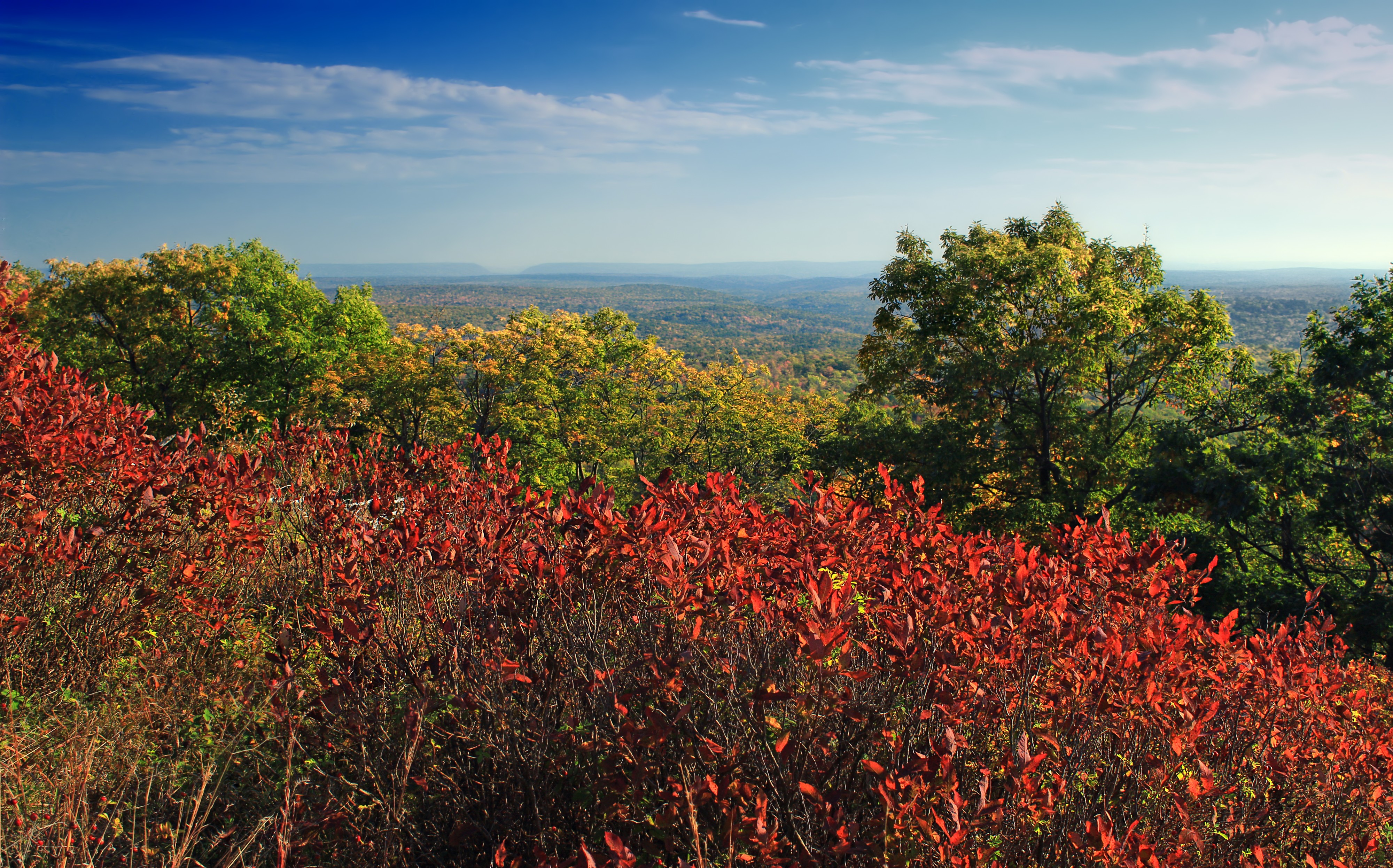 Gravel Family Nature Preserve (3) (30079366980)