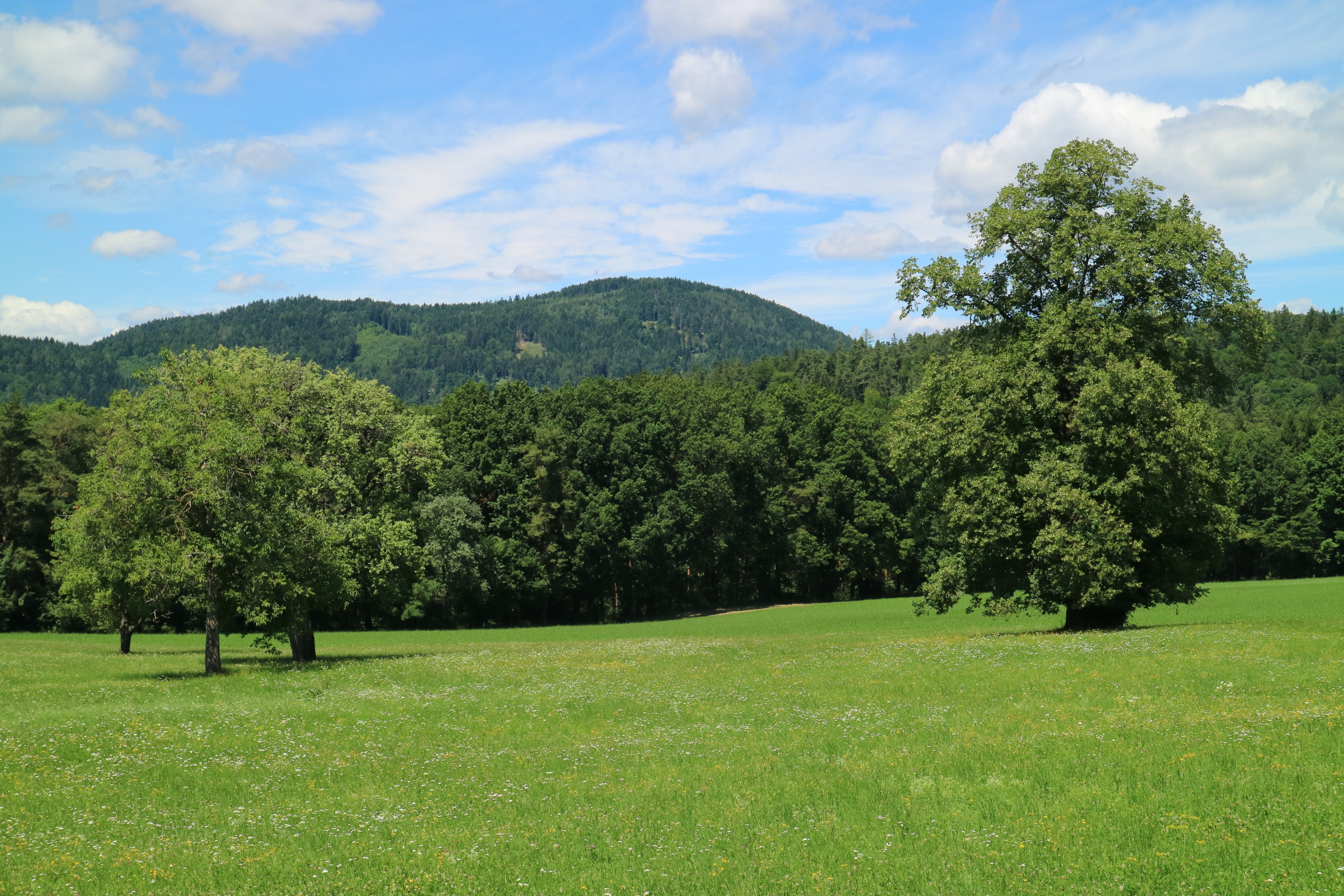 Hohe Rannach 01