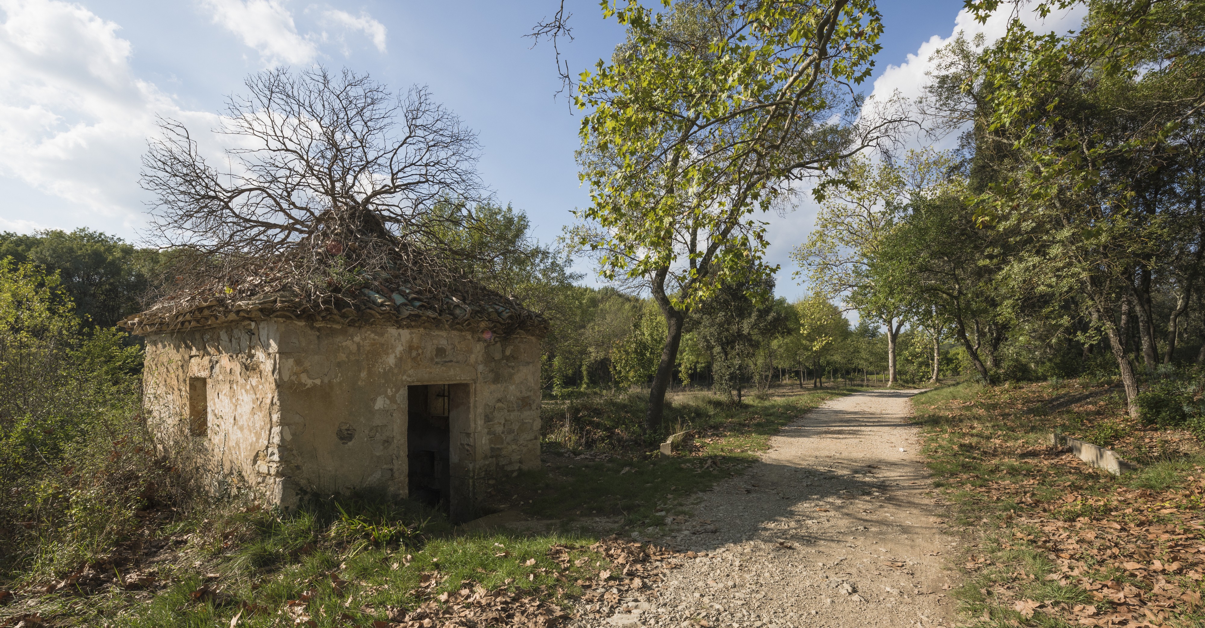 House with tree on the roof, Domaine de Restinclières