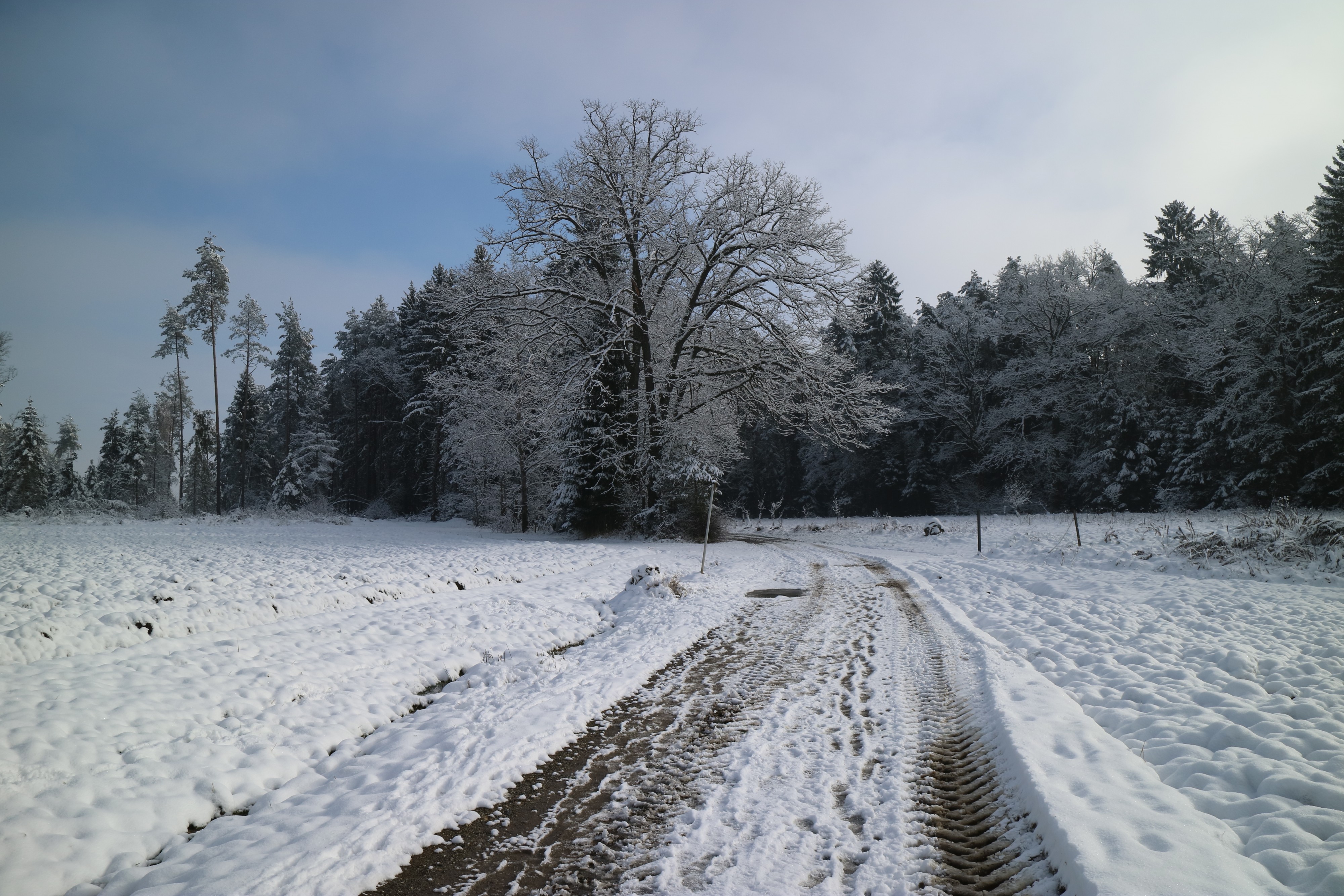 Kaiserwald Hautzendorf 13
