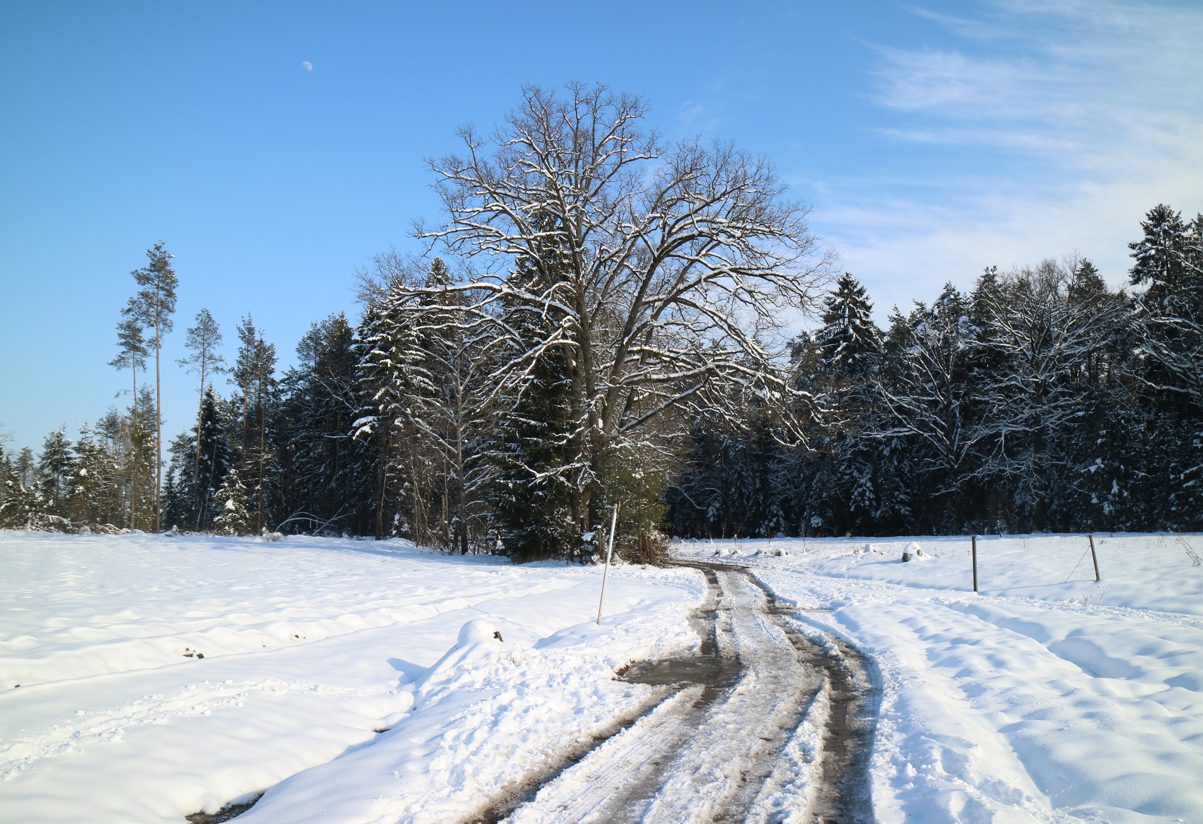 Kaiserwald Hautzendorf 21