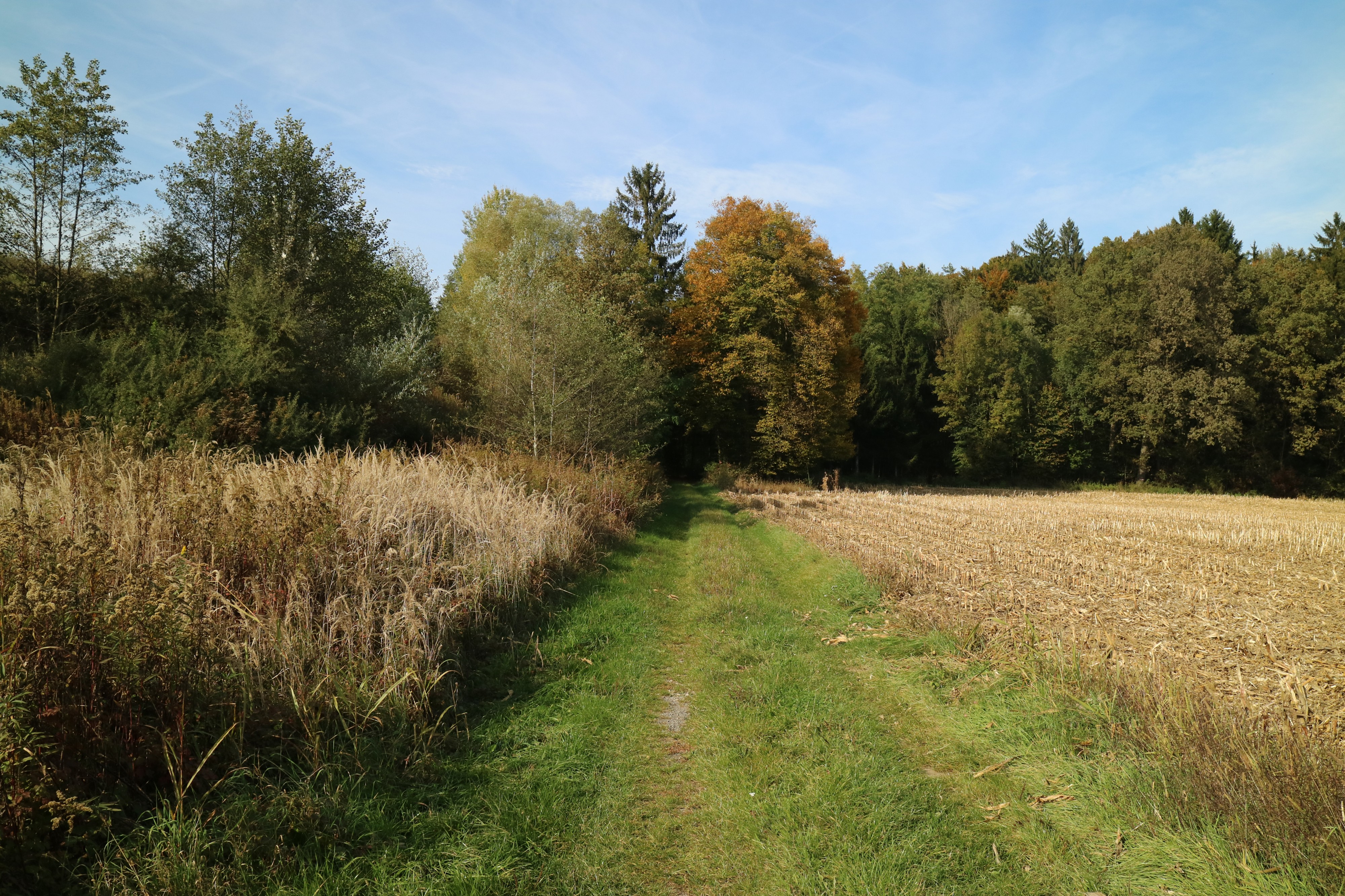 Kaiserwald Weitendorf 01