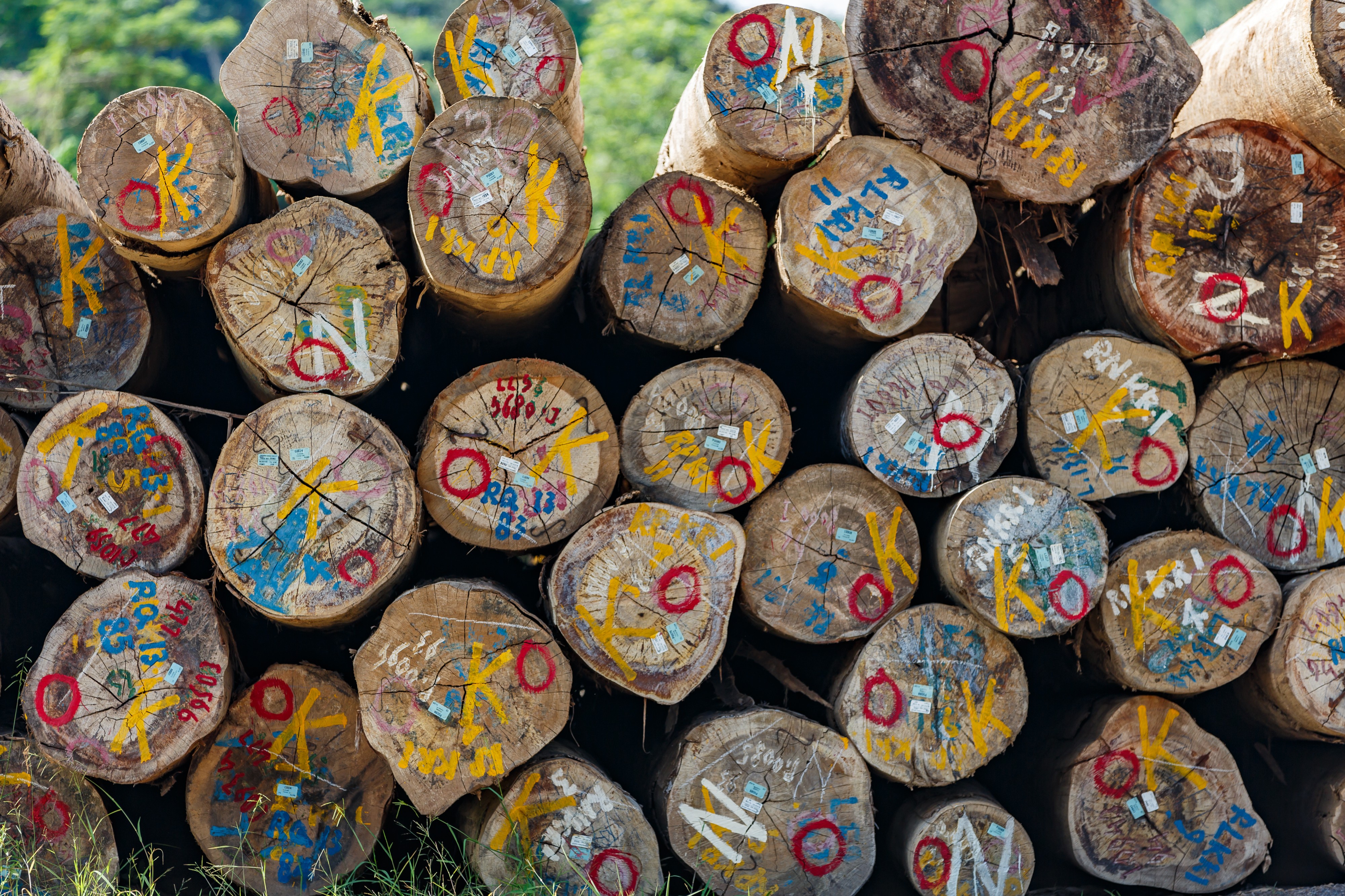 Kalabakan Sabah Timber-storage-area-02