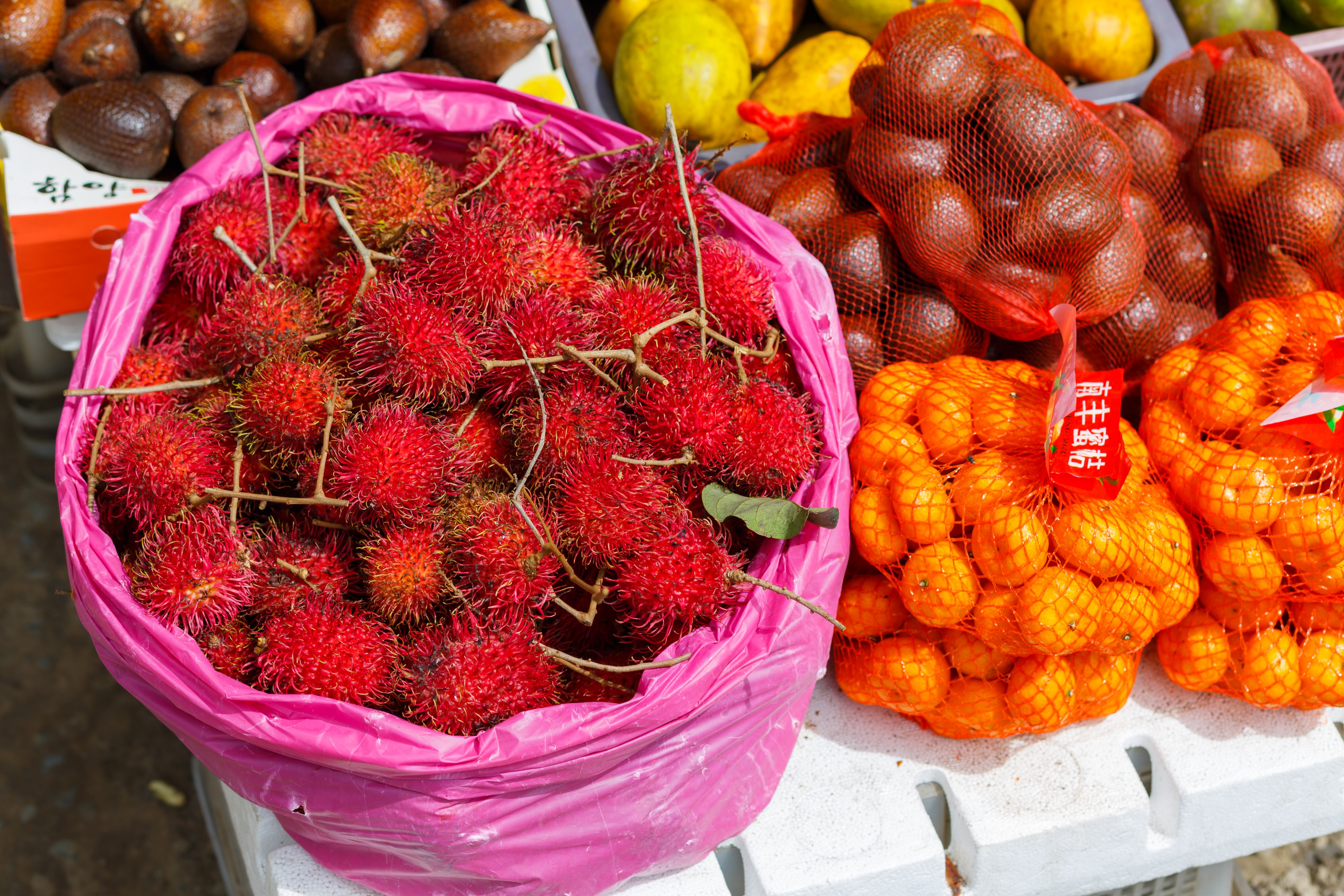 Kundasang Sabah Vegetable-Market-05