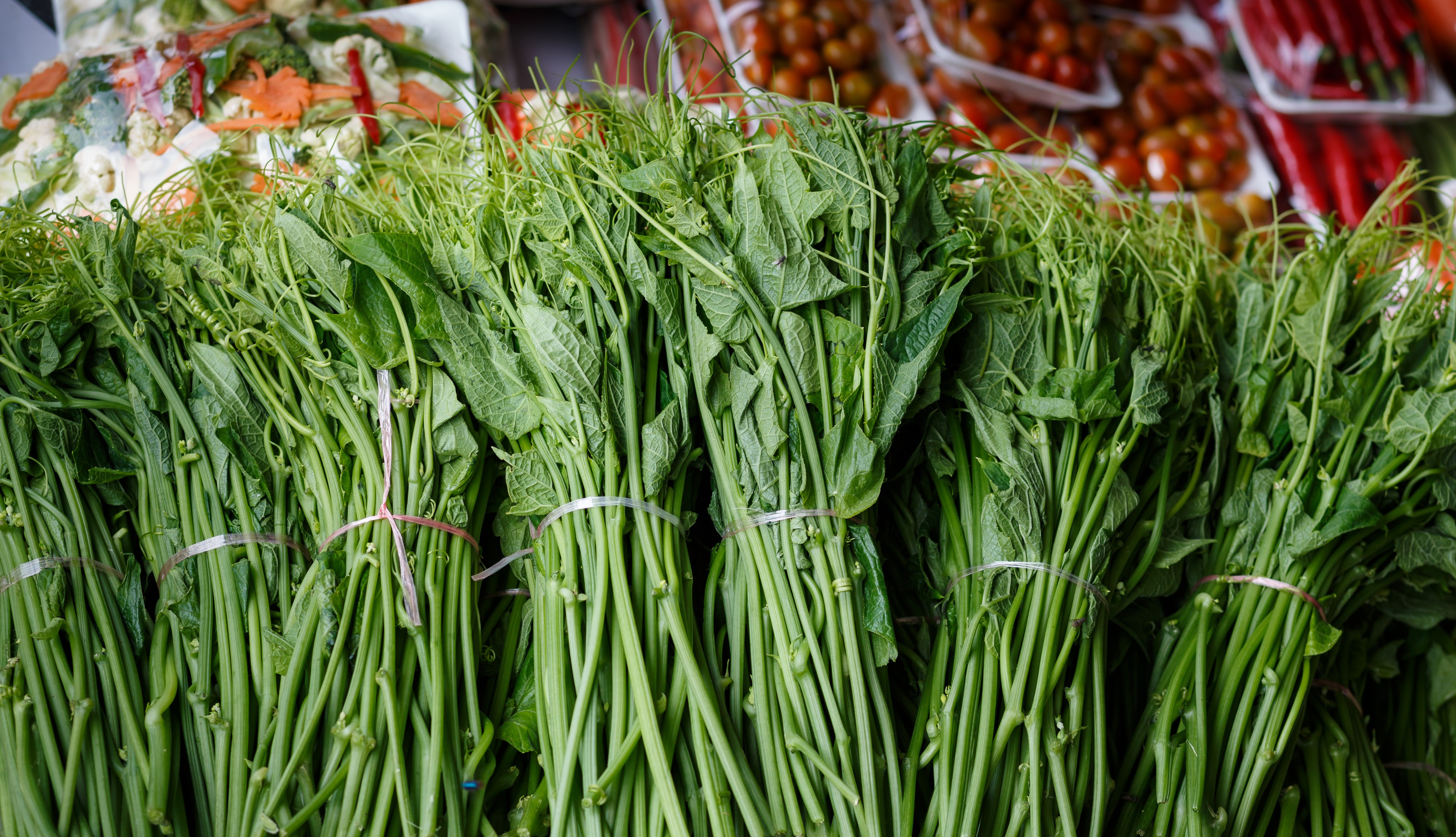 Kundasang Sabah Vegetable-Market-09