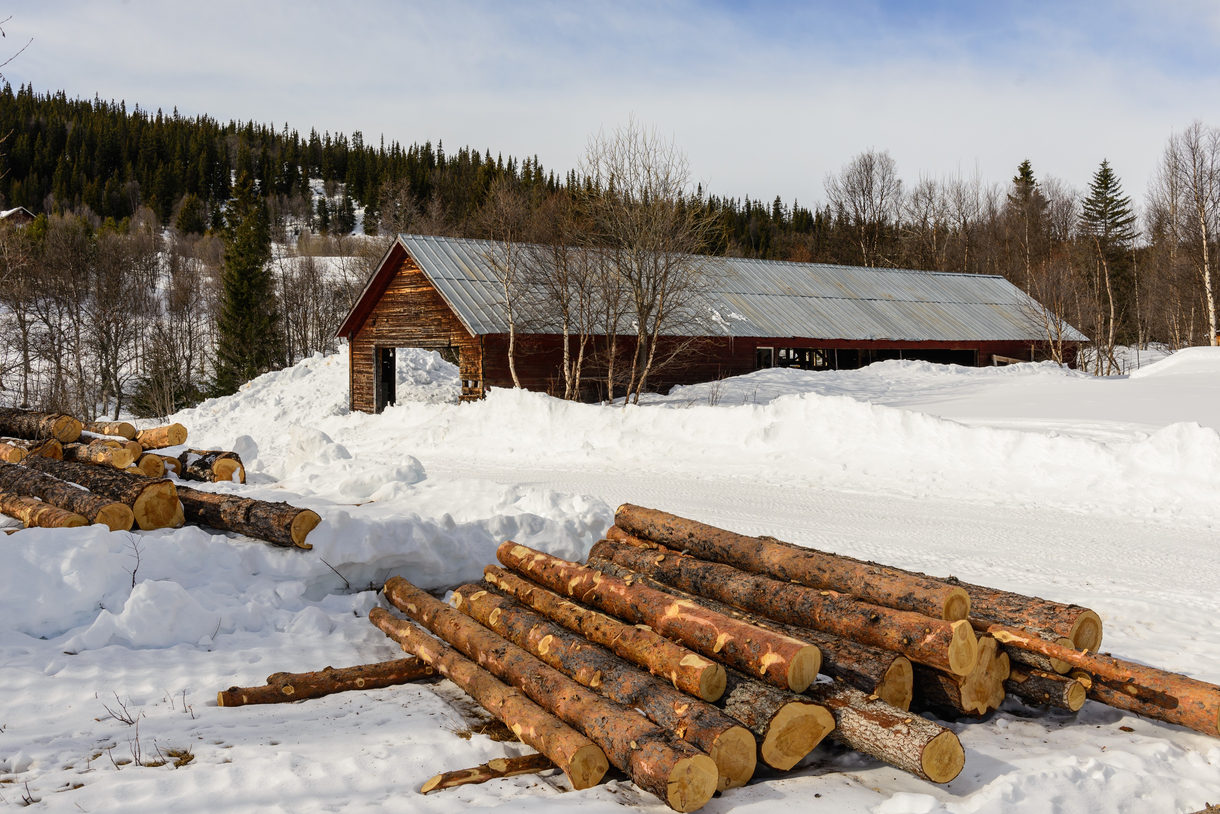 Ljungdalen Mars 2013 06