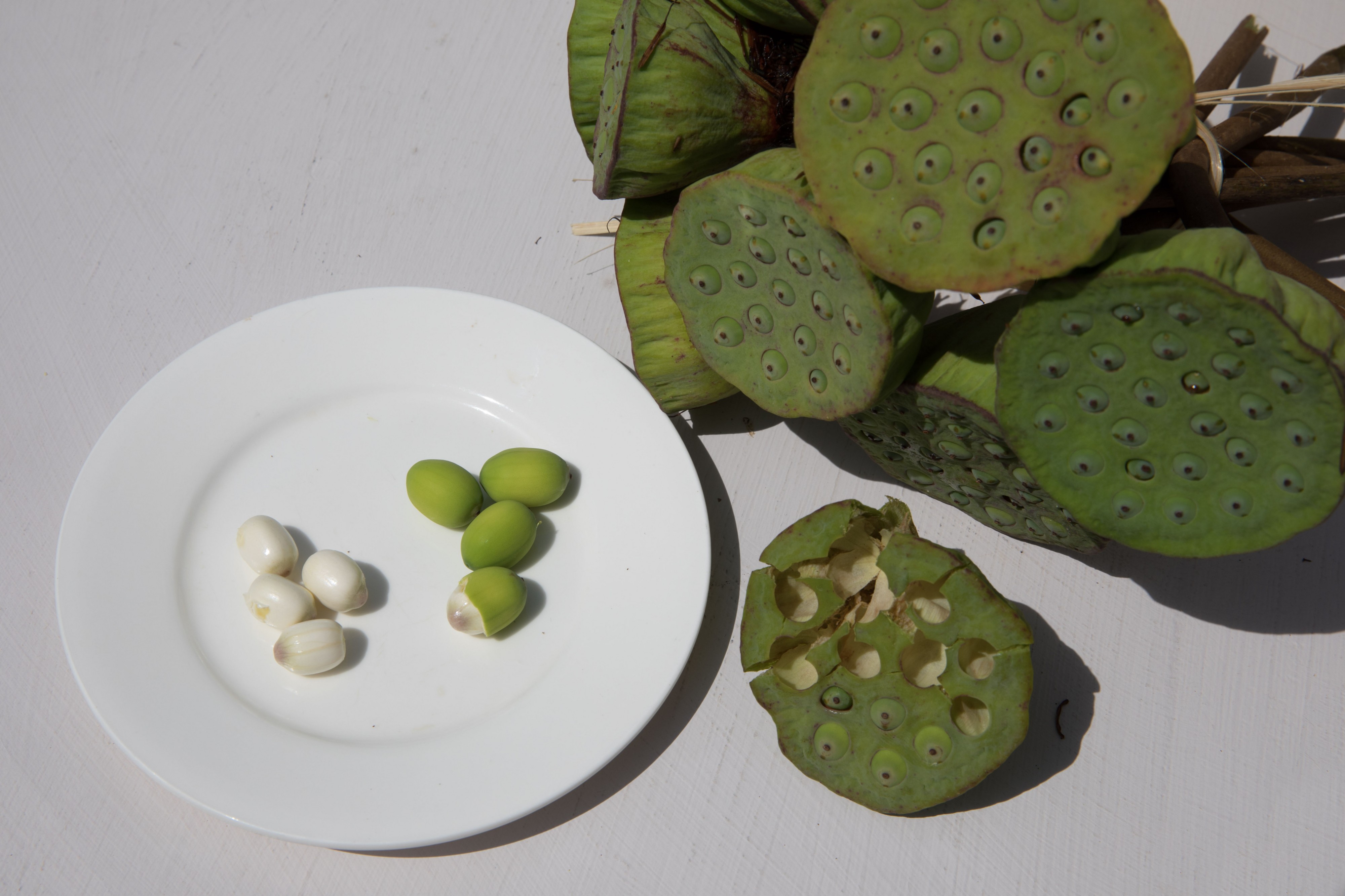 Lotus fruit seeds