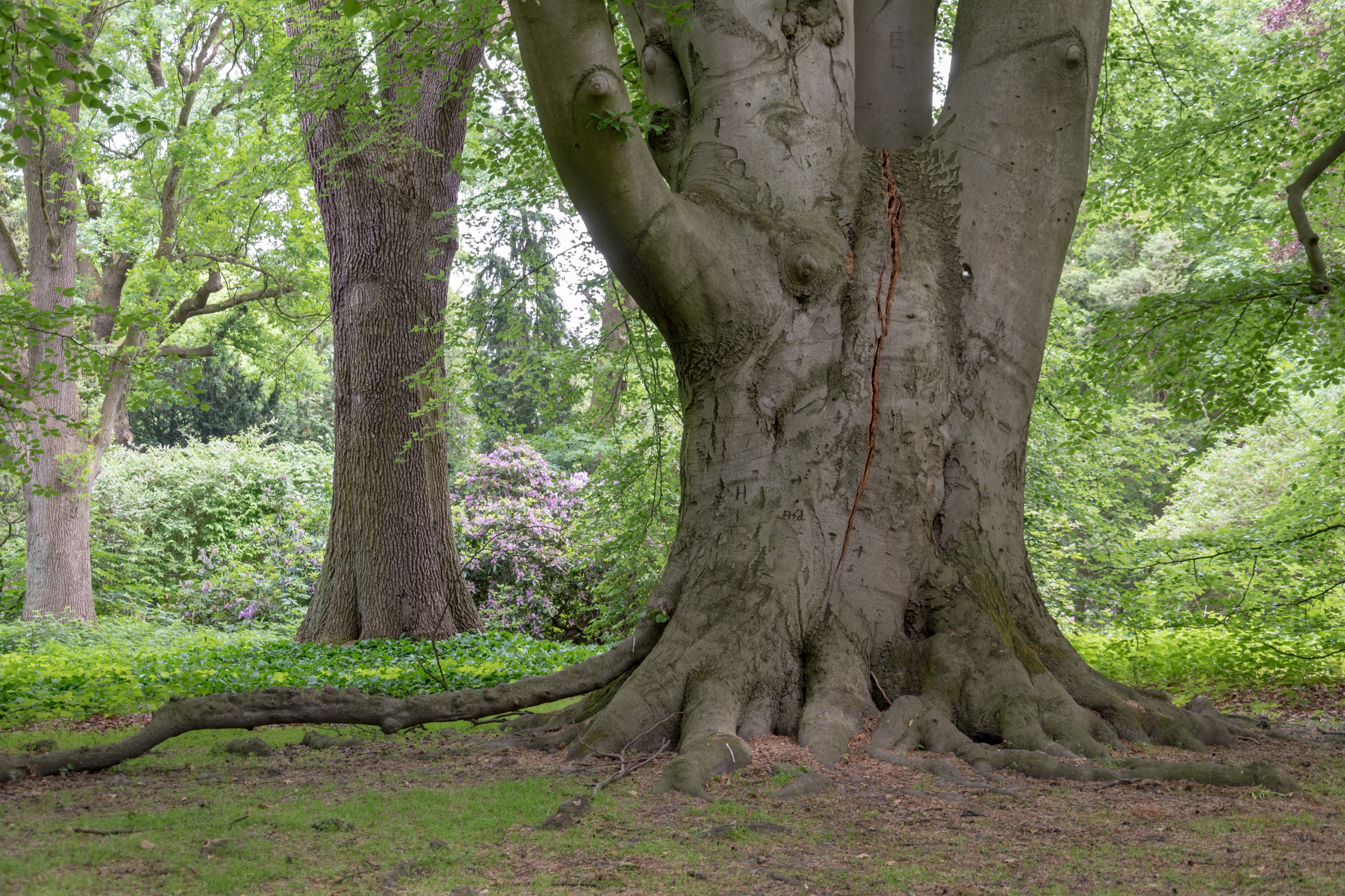 Münster, Park Sentmaring -- 2018 -- 0009