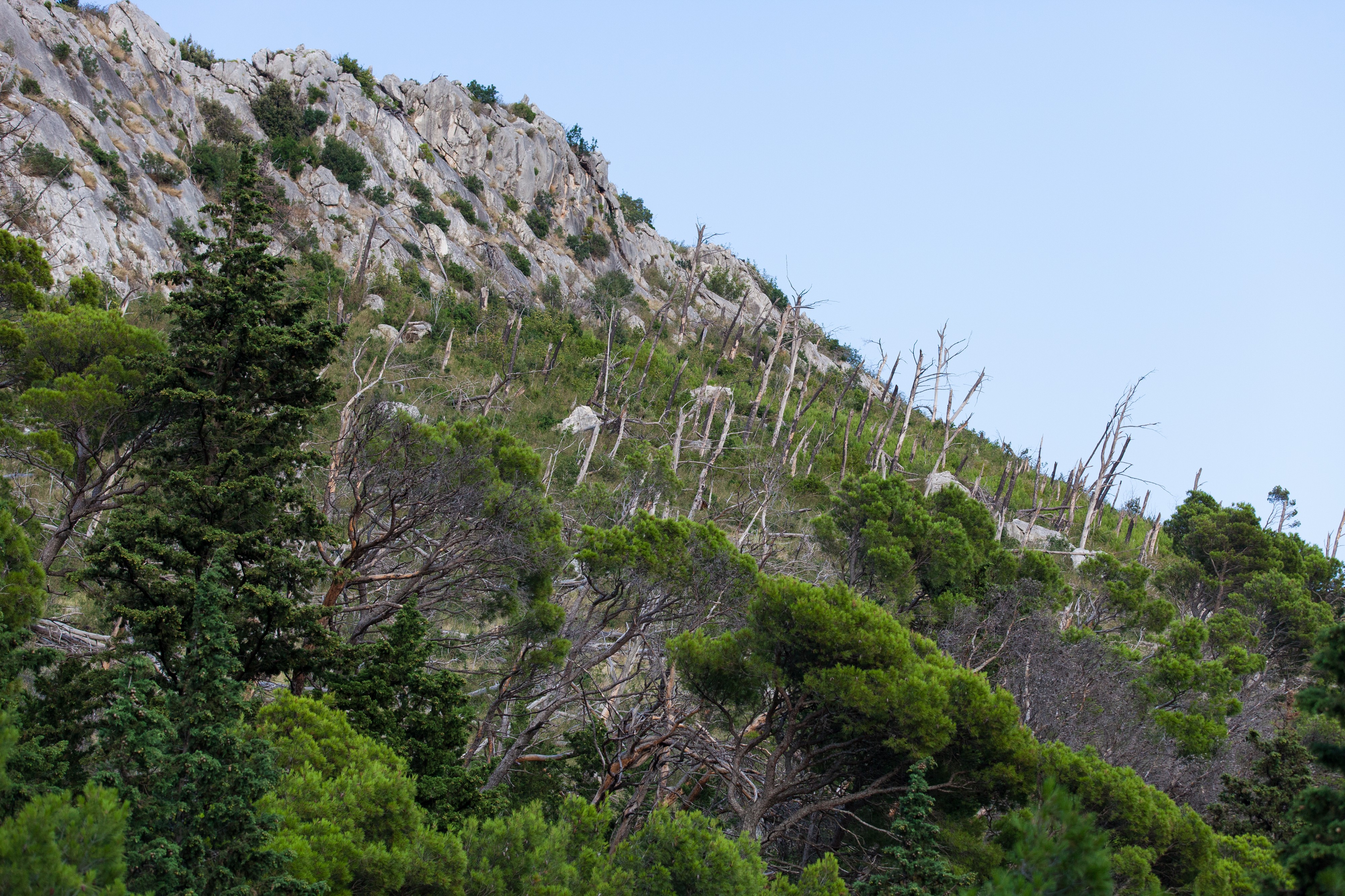 Makarska, Croatia, Europe, July 2014, picture 7