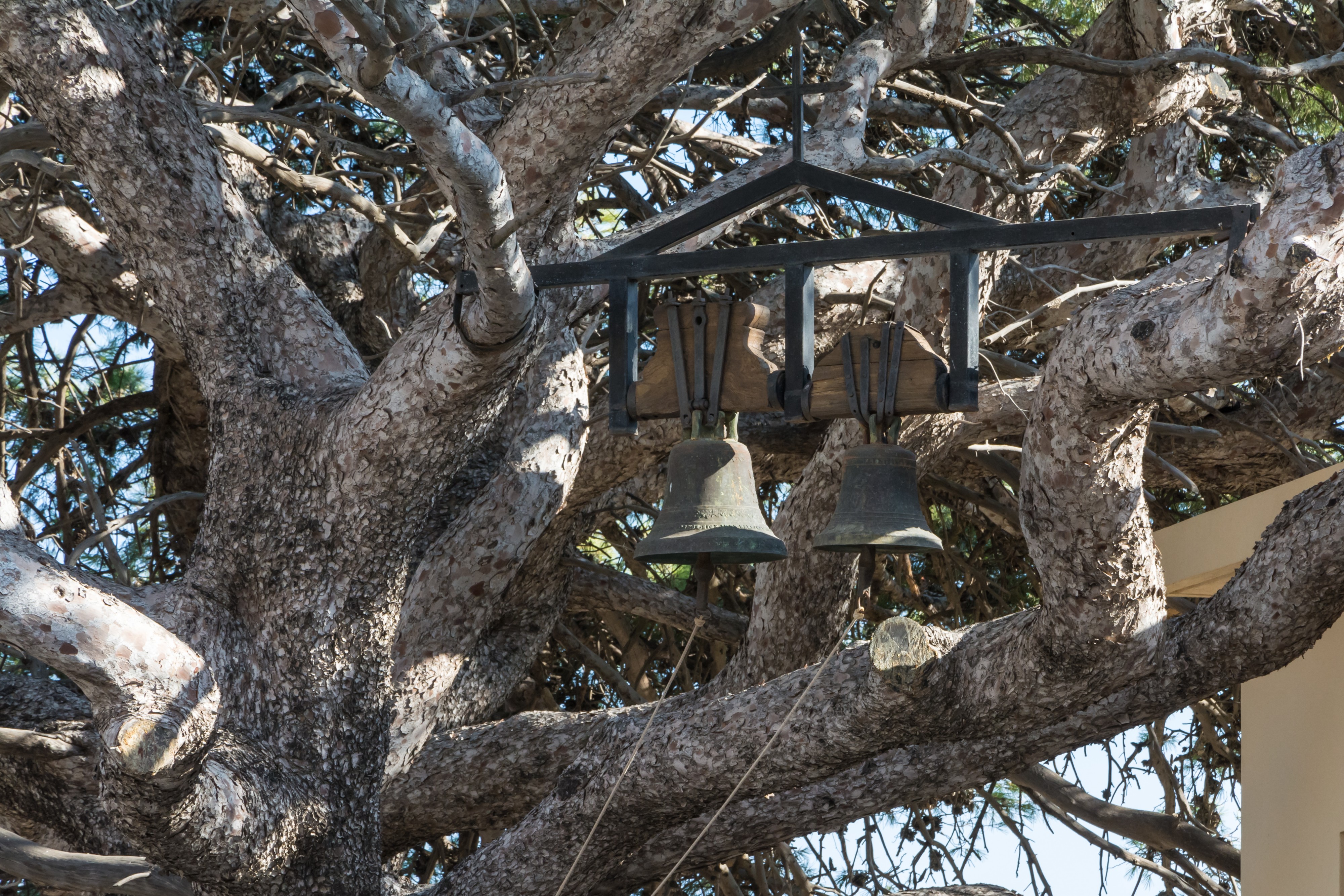 Moni Preveli Tree Bells 01