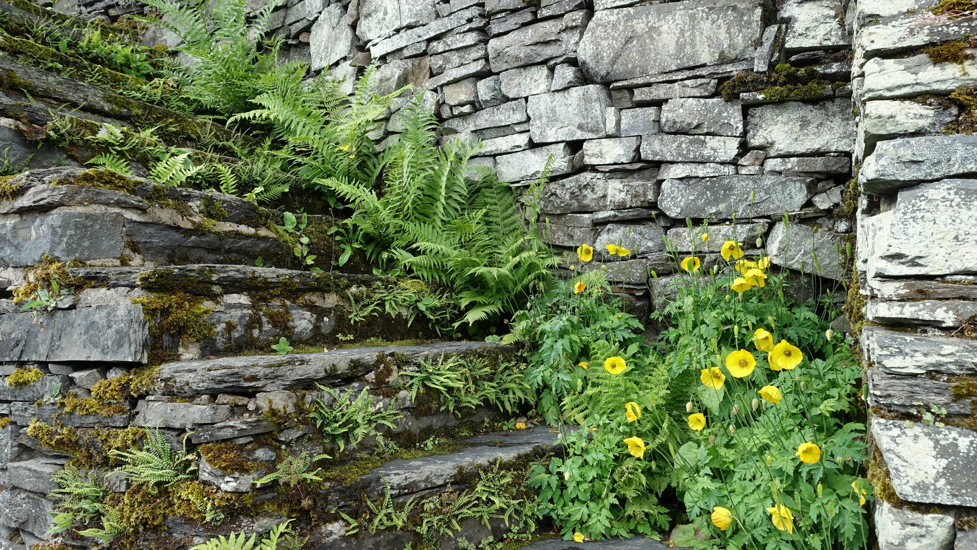 Monschau - Detail der Burgmauer