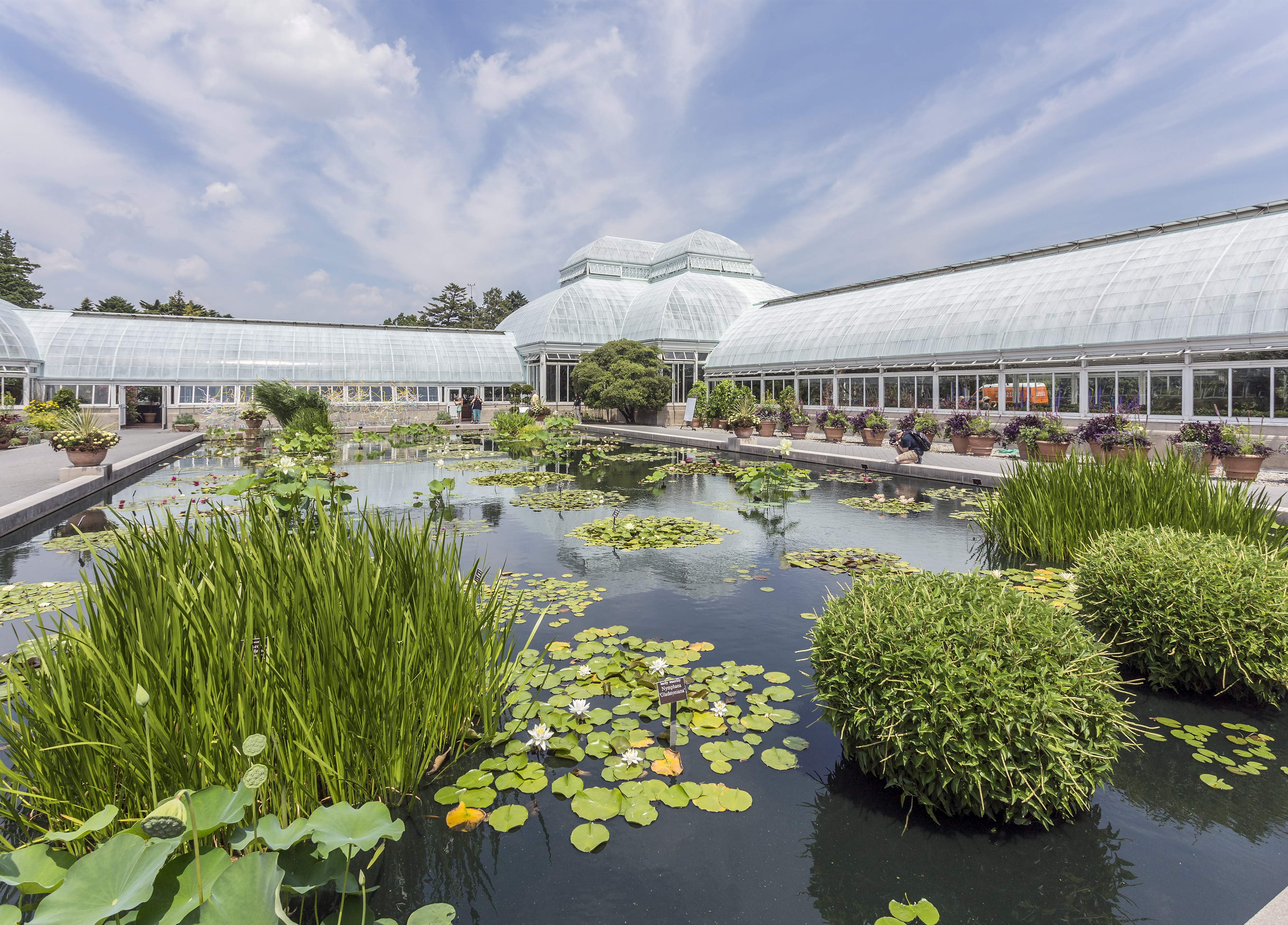 NYBG Conservatory NY1