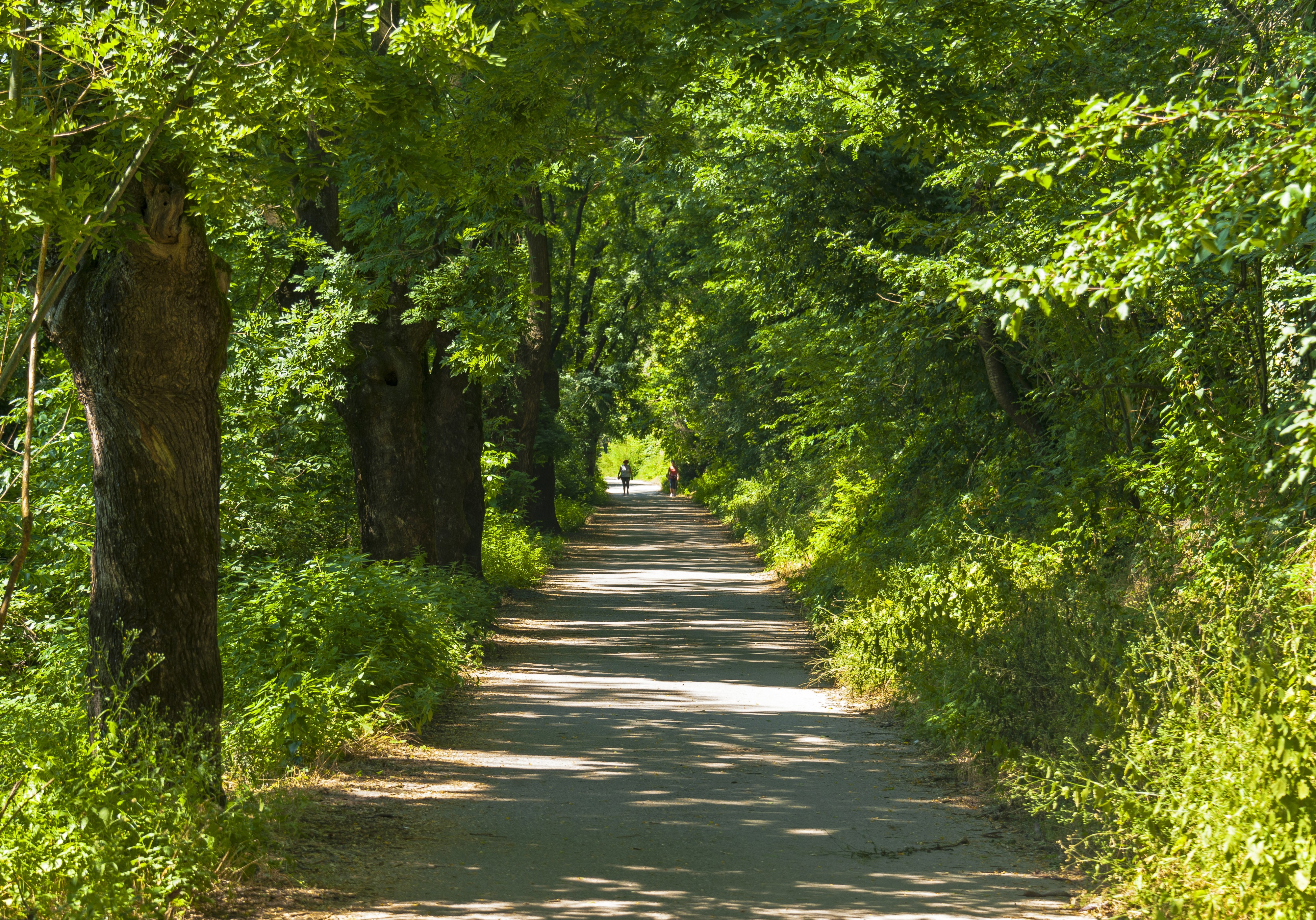 Pathway to Crespi d'Adda