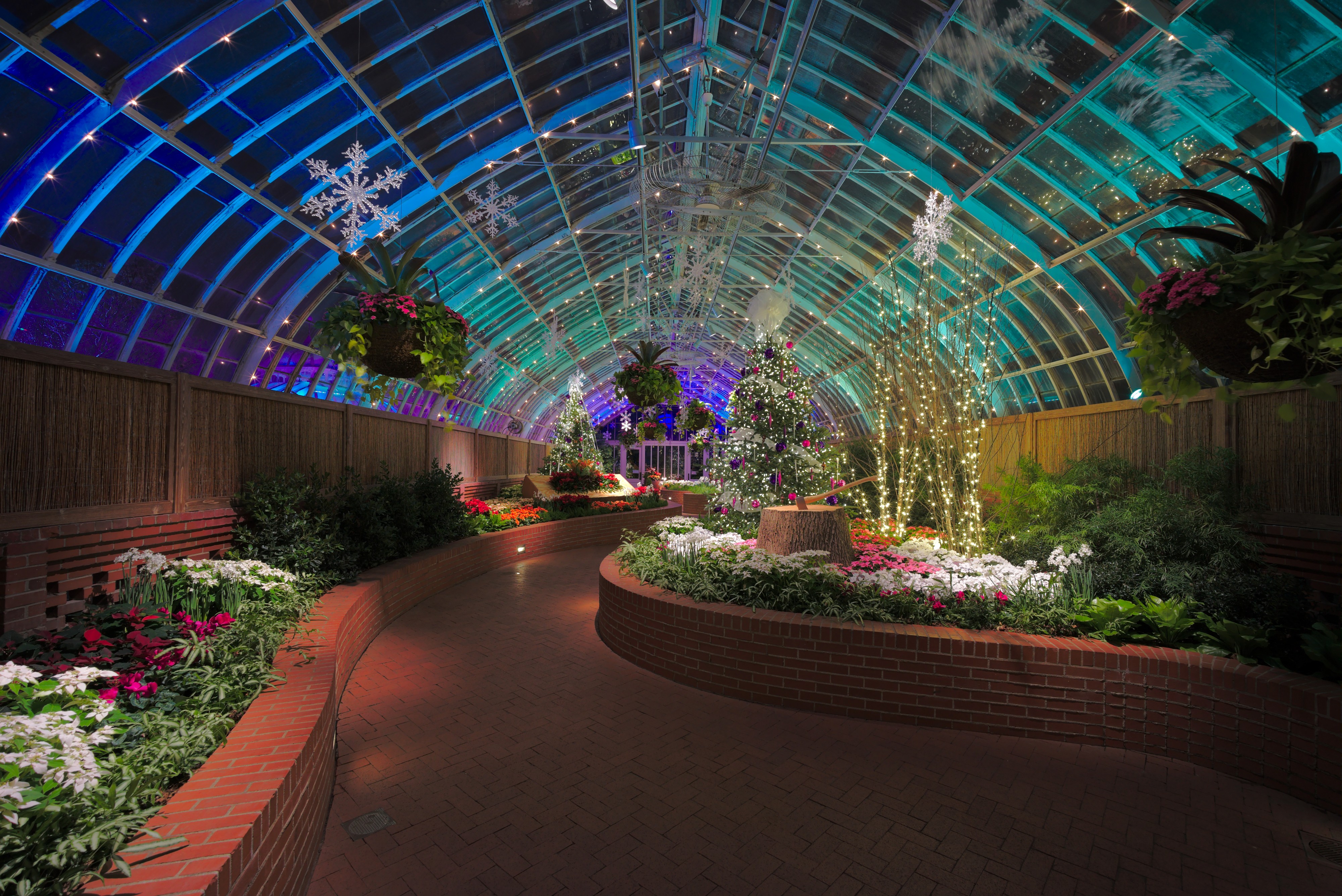 Phipps Conservatory winter 2015 Serpentine Room 2