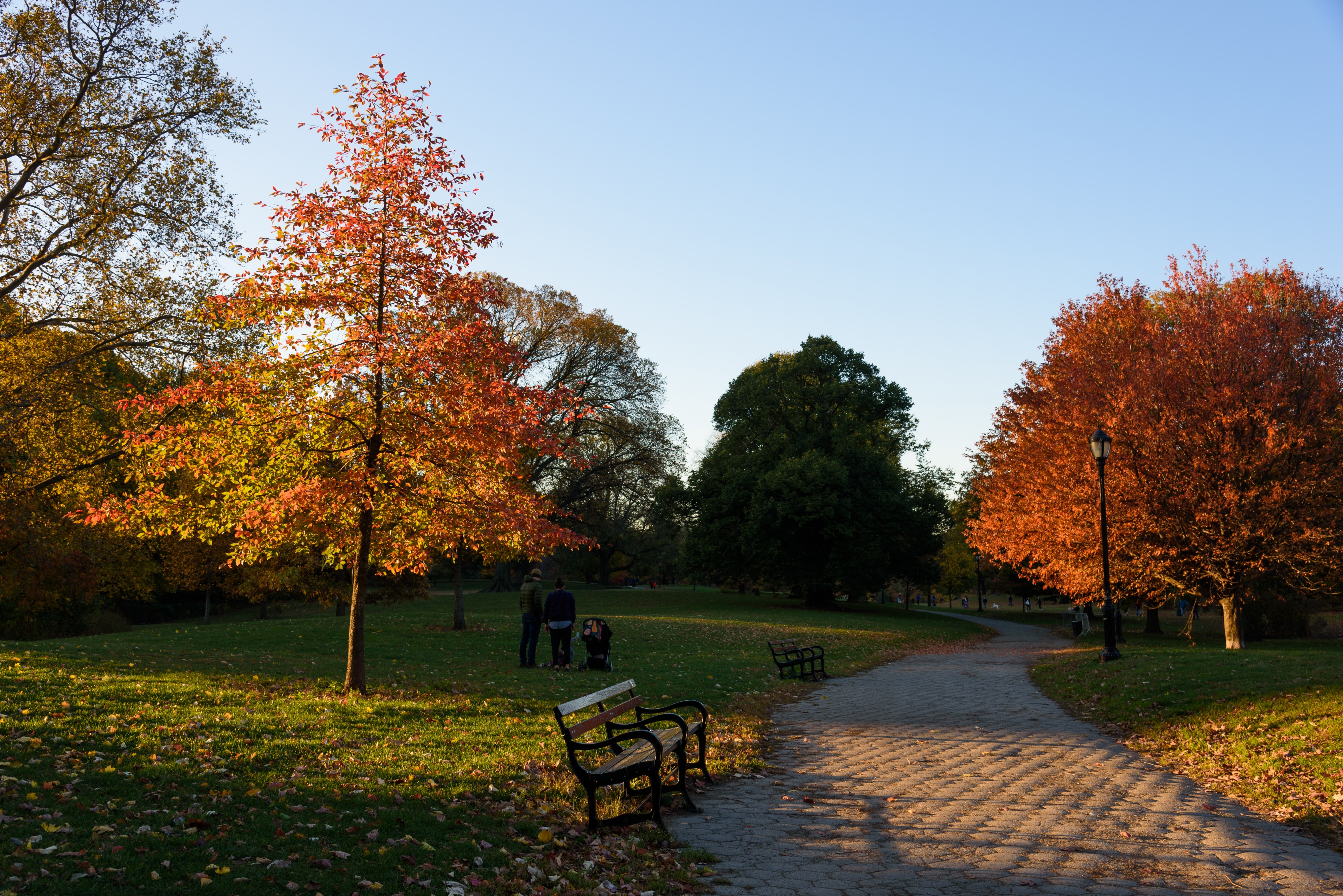 Prospect Park New York November 2016 001