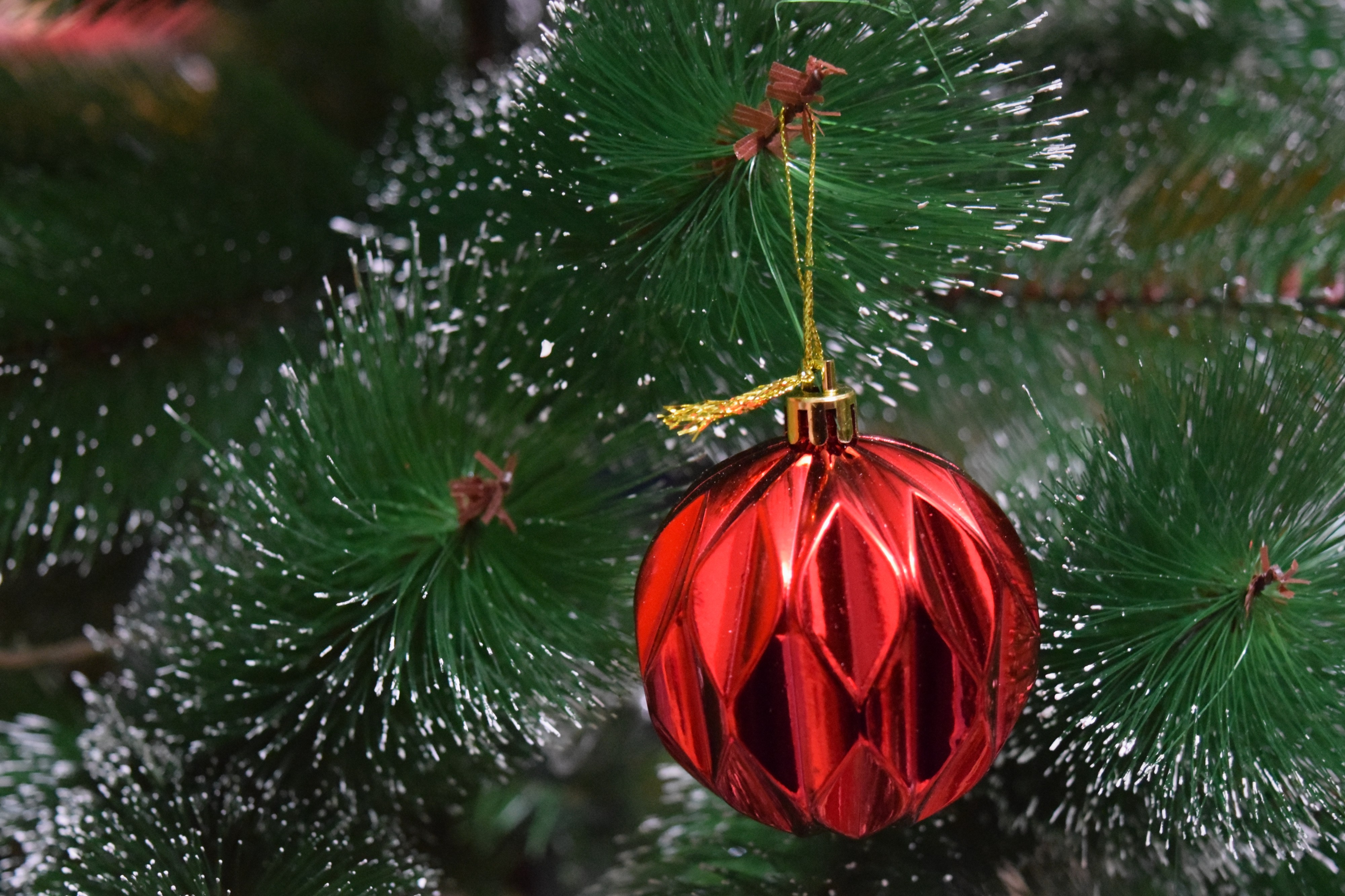 Red boll of Christmas tree