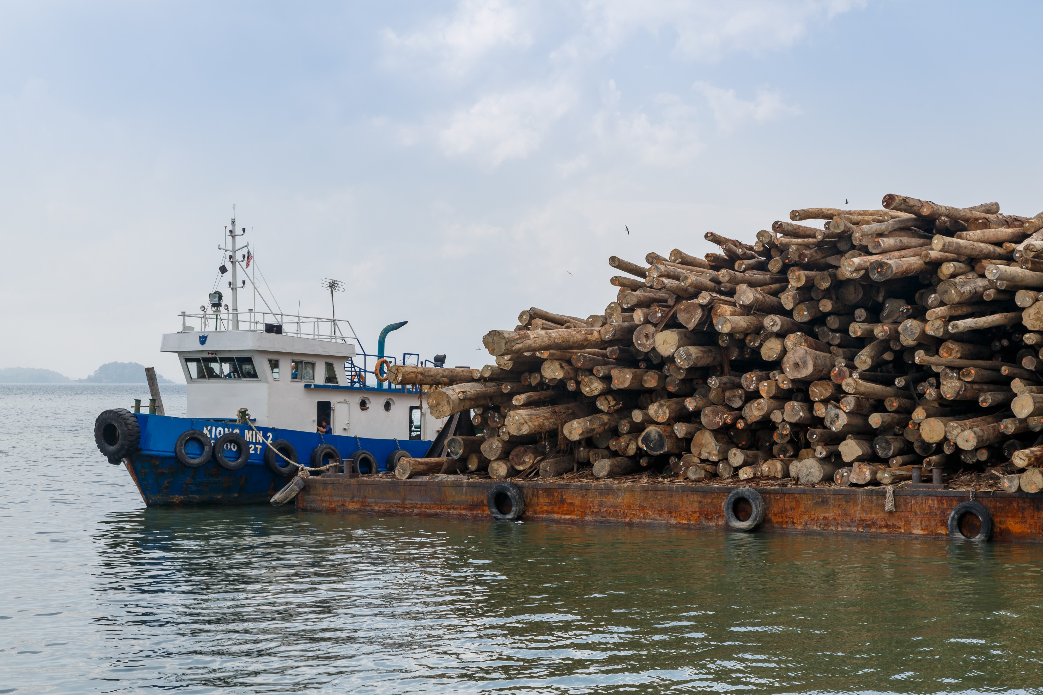 Sandakan Sabah Plywood-Factory-03b