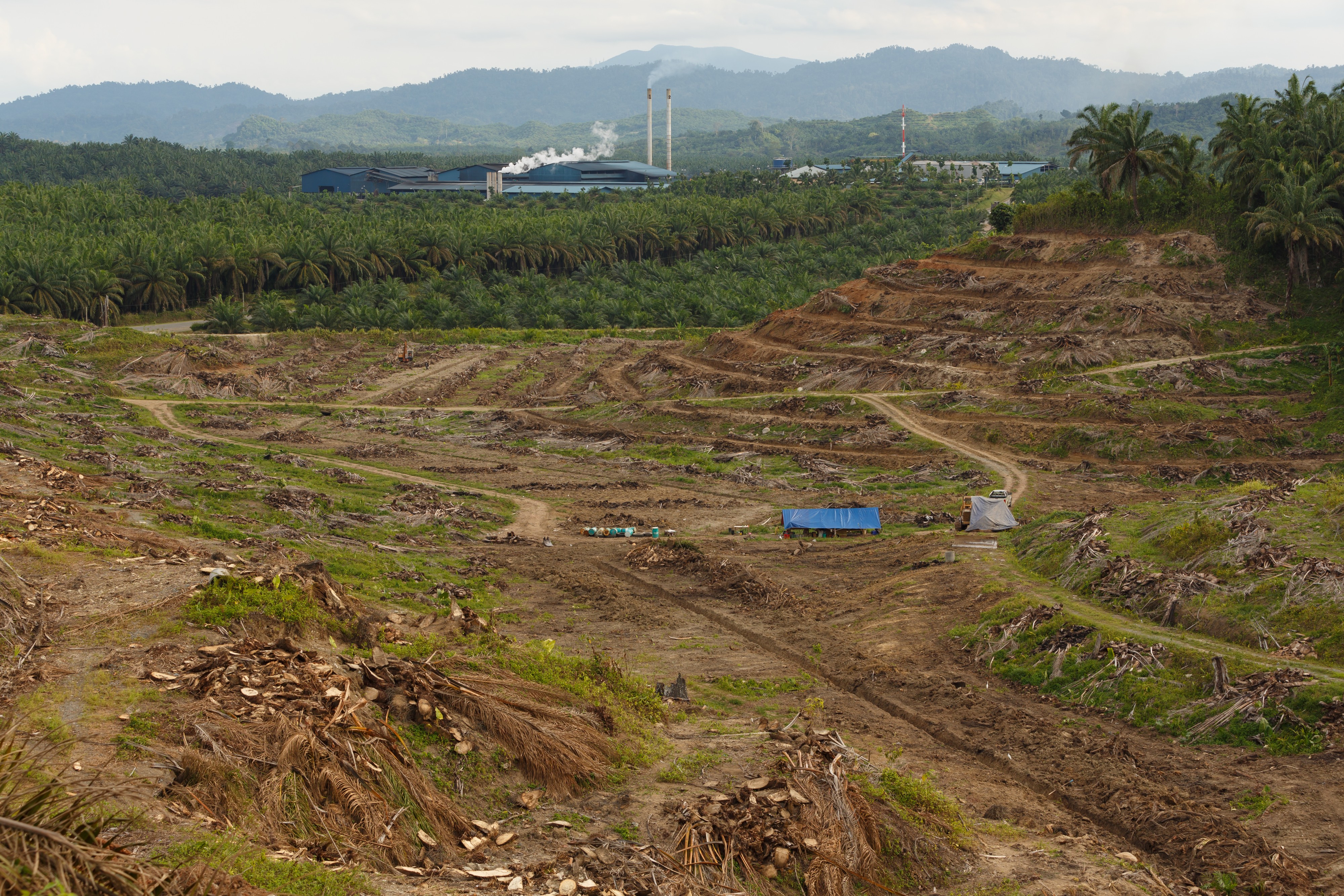 Sungai-Mangis Sabah Tamaco-Oil-Mill-2-01a