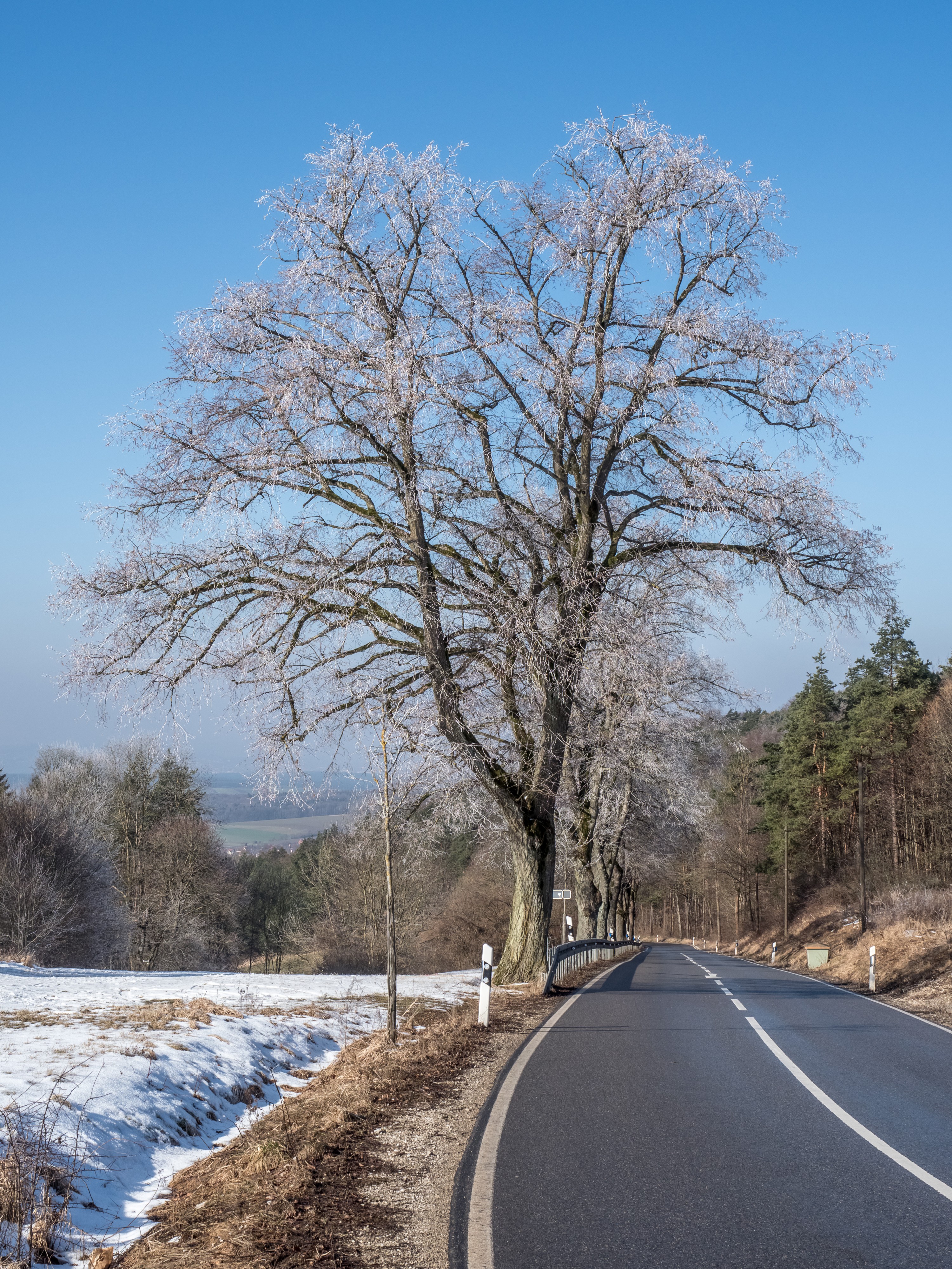 Teuchatz Berg Winter2180310
