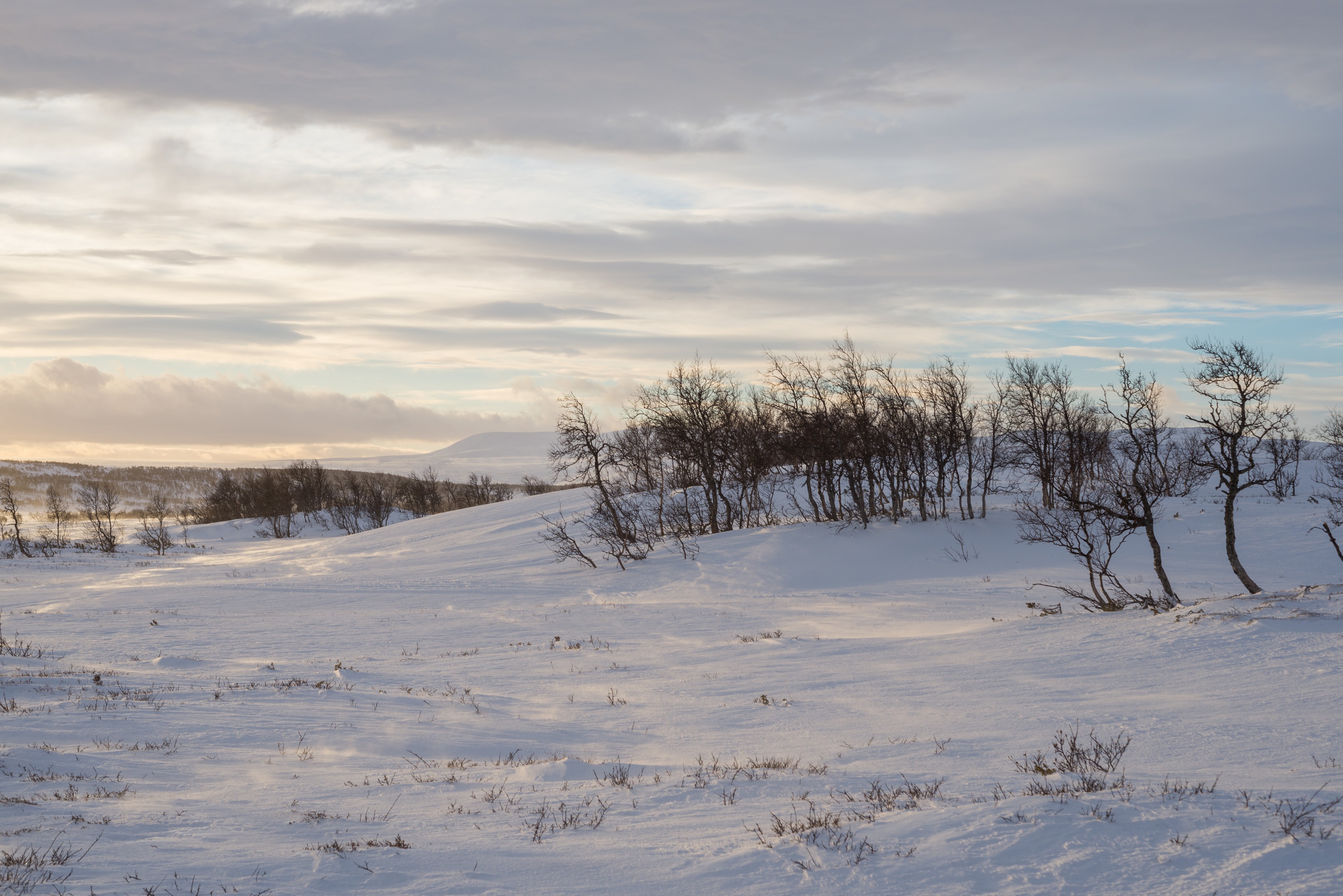 Torkilstöten December 2013 06