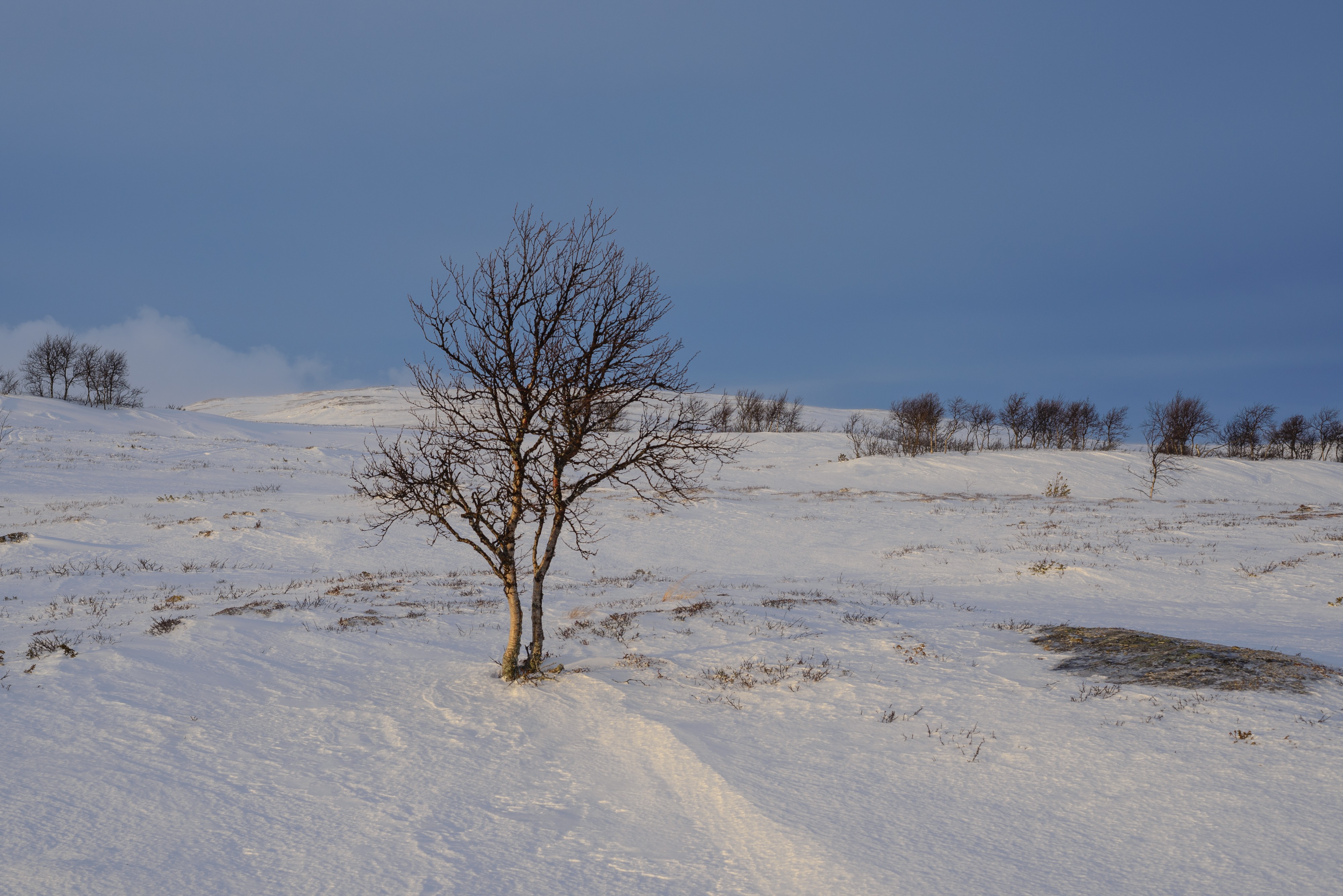 Torkilstöten December 2013 10