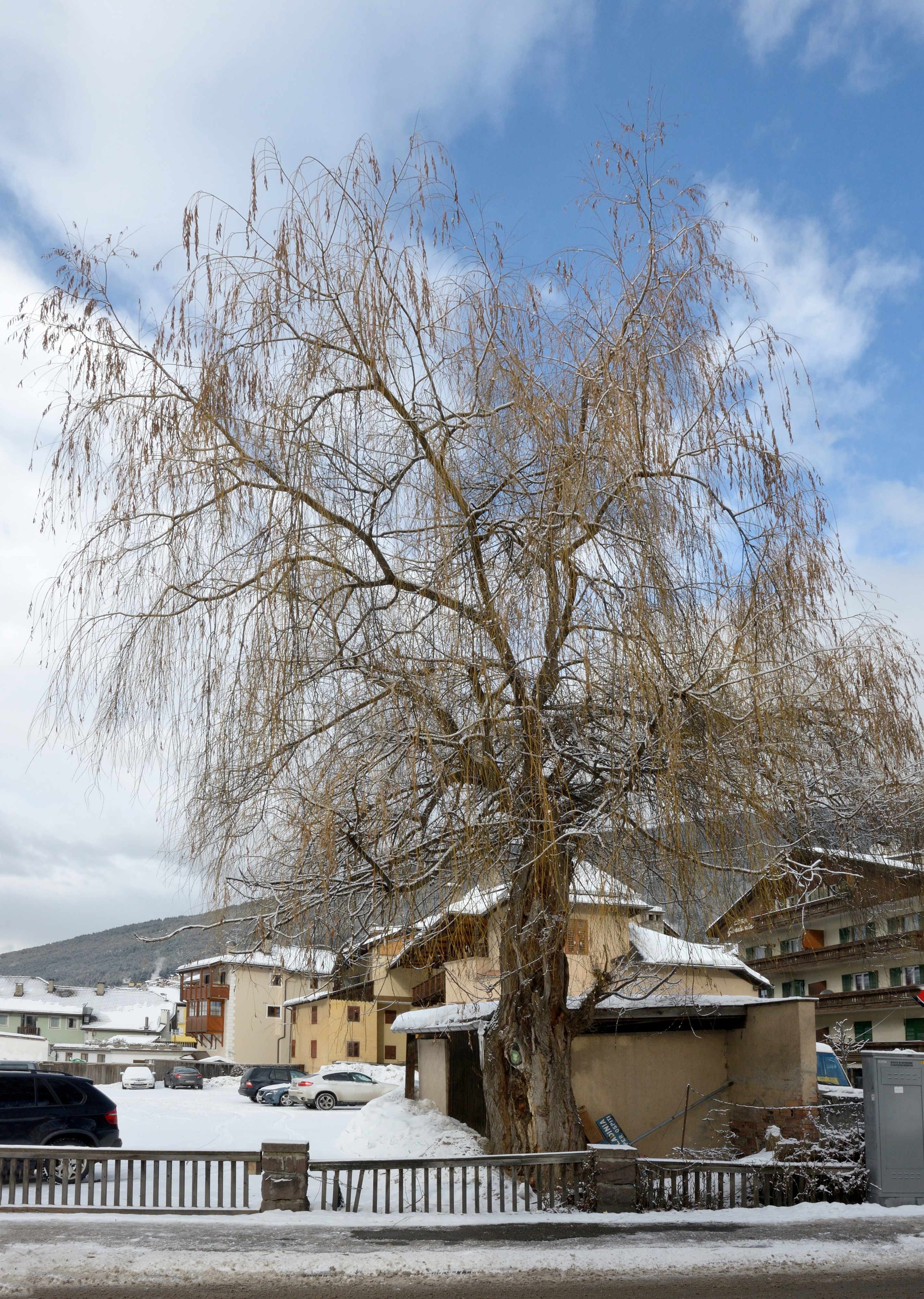 Trauerweide Hotel Ladinia St Ulrich Gröden
