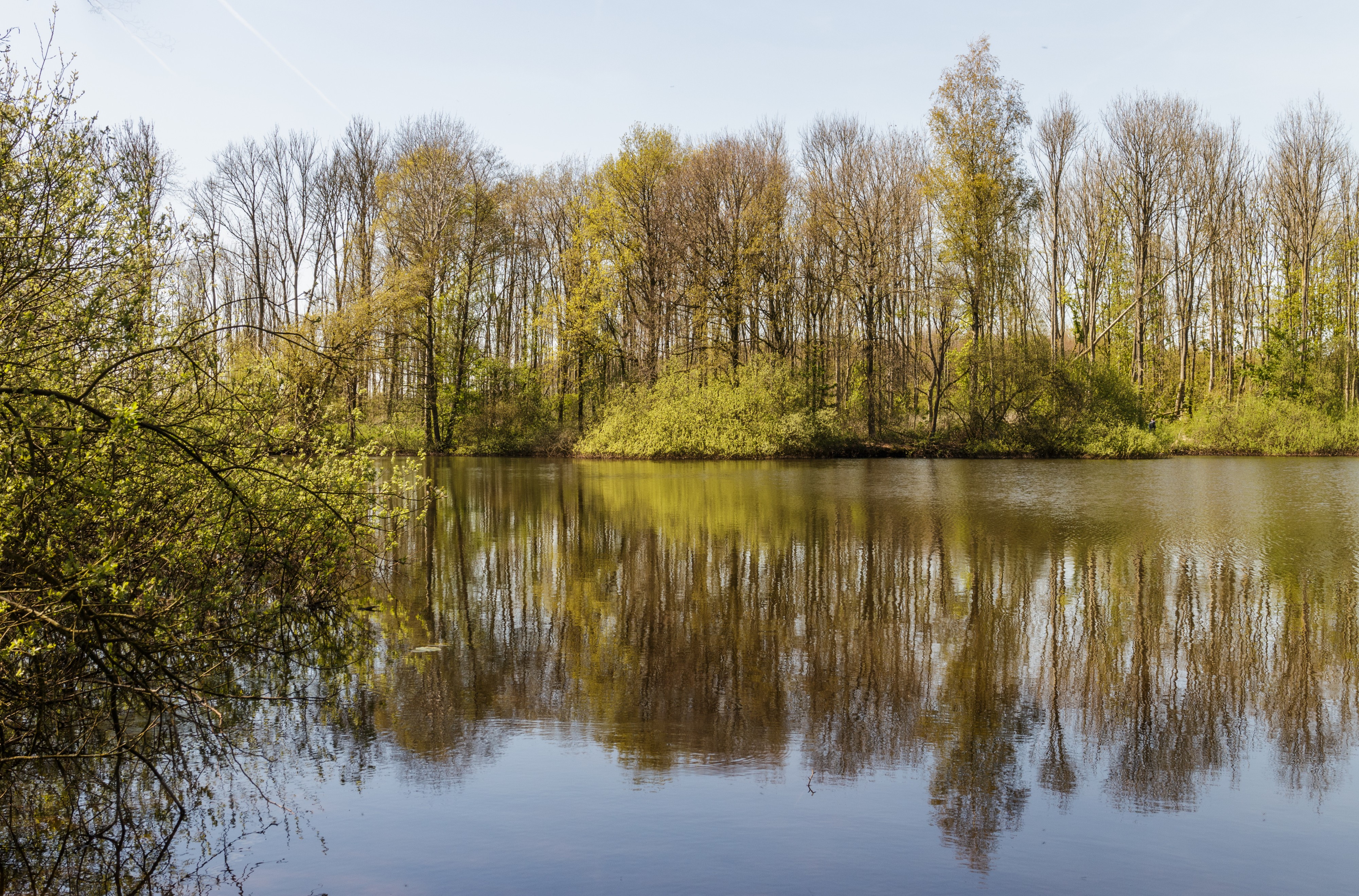 Uitzicht over de Bekhofplas. Locatie, natuurterrein Beekdal Linde Bekhofplas 14