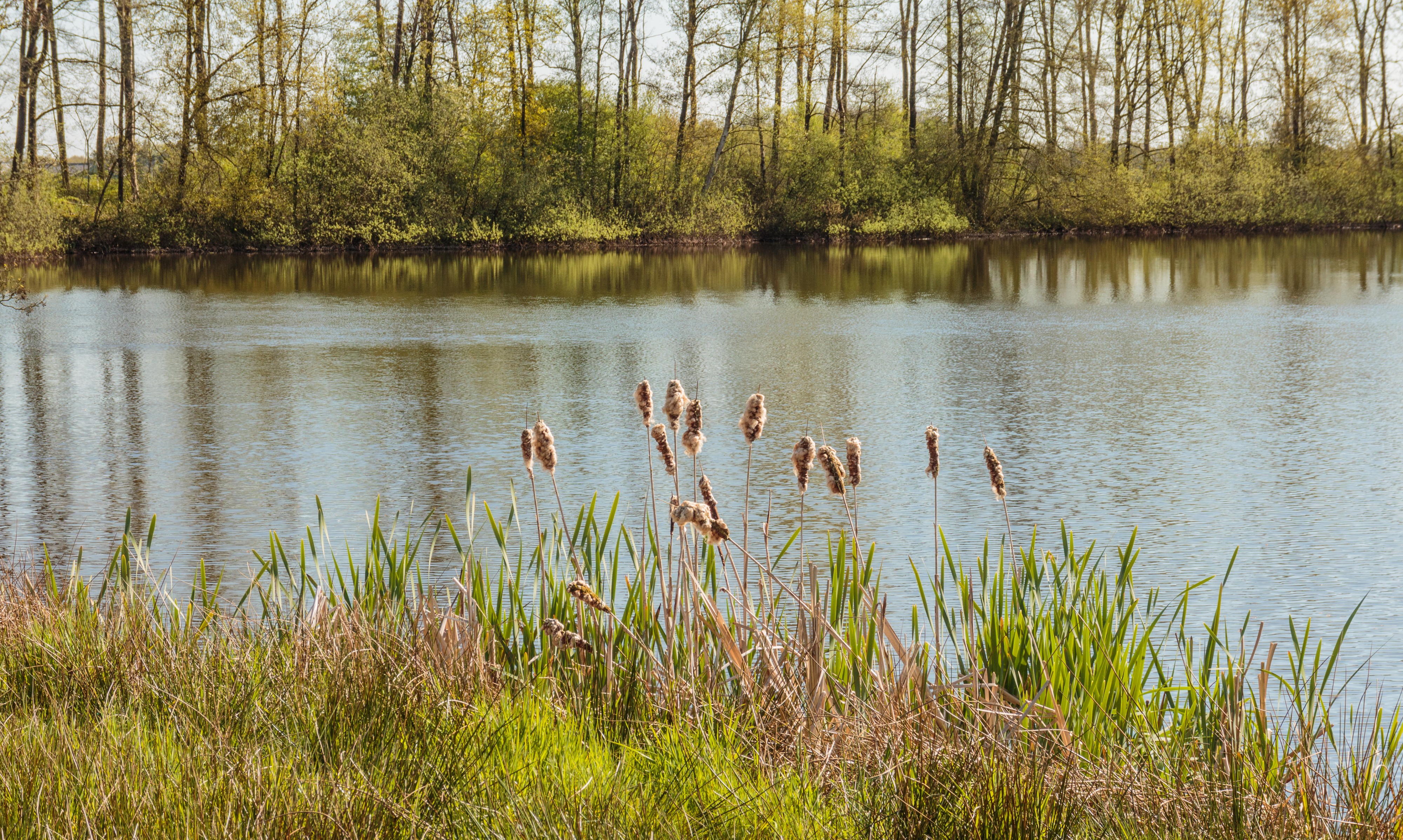 Uitzicht over de Bekhofplas. Locatie, natuurterrein Beekdal Linde Bekhofplas 30