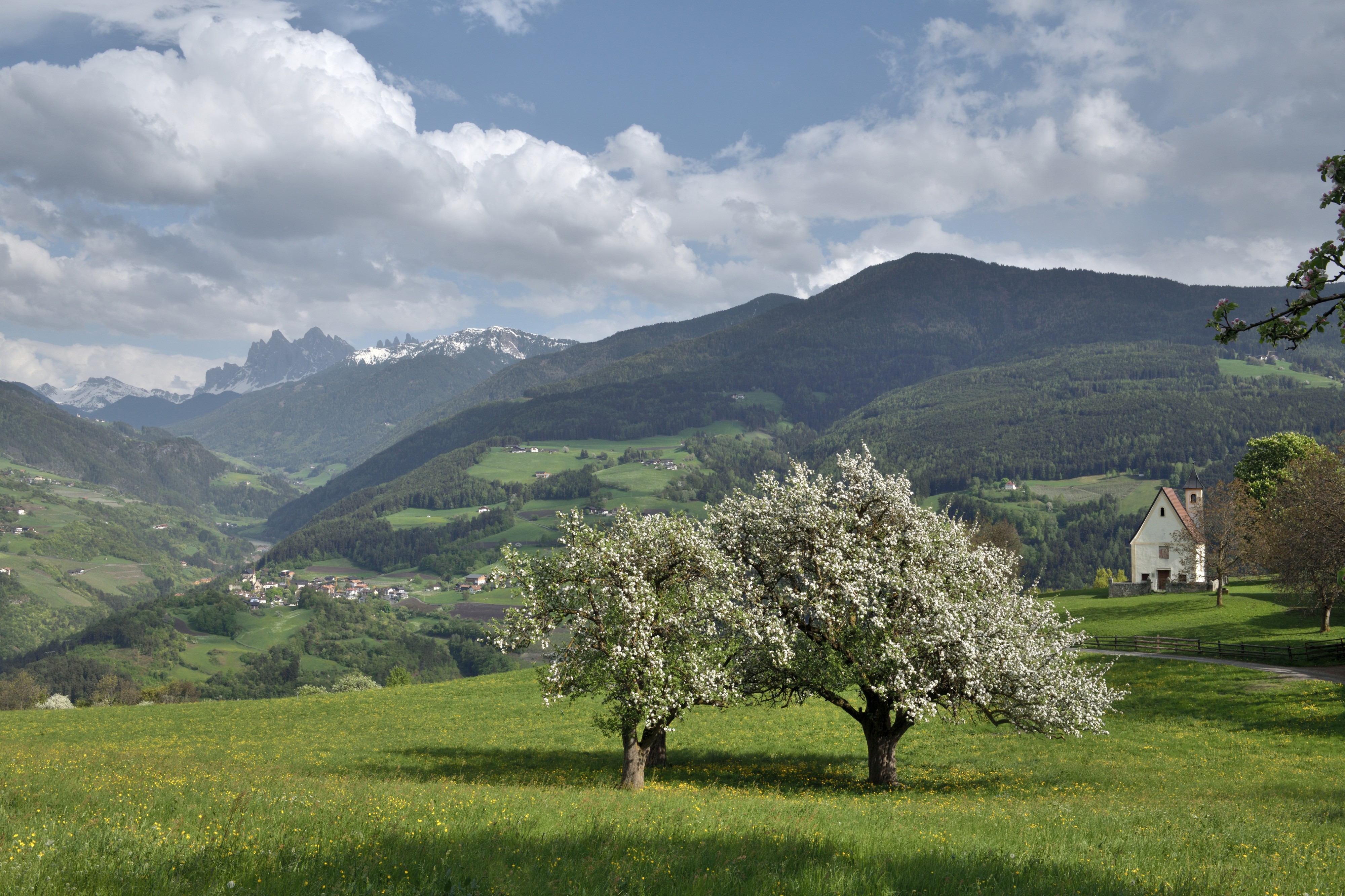 Viersch bei Klausen Sankt Katharina Kapelle Apfelbäume