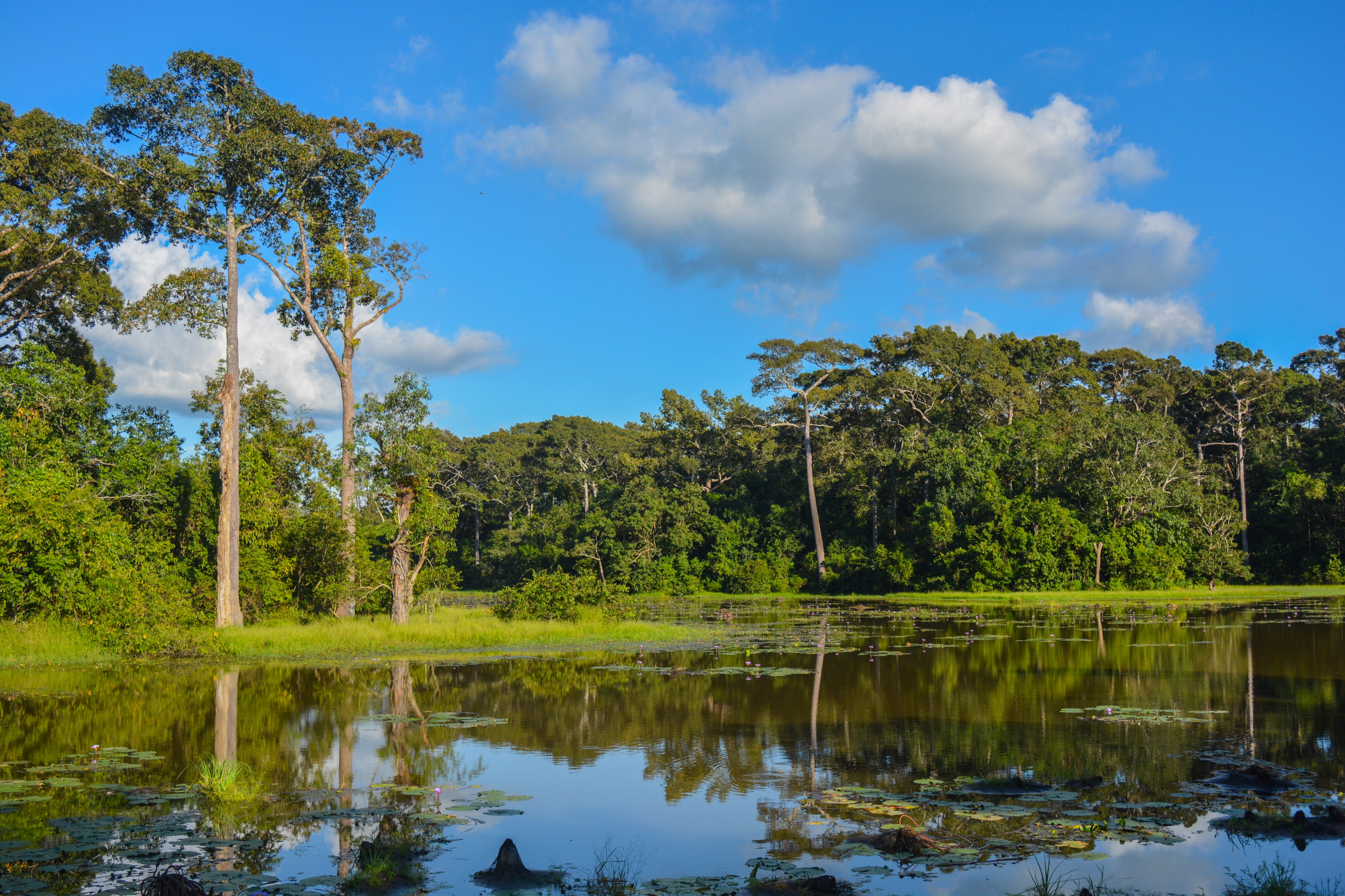 View of Dulahazra Safari Park, Bangladesh