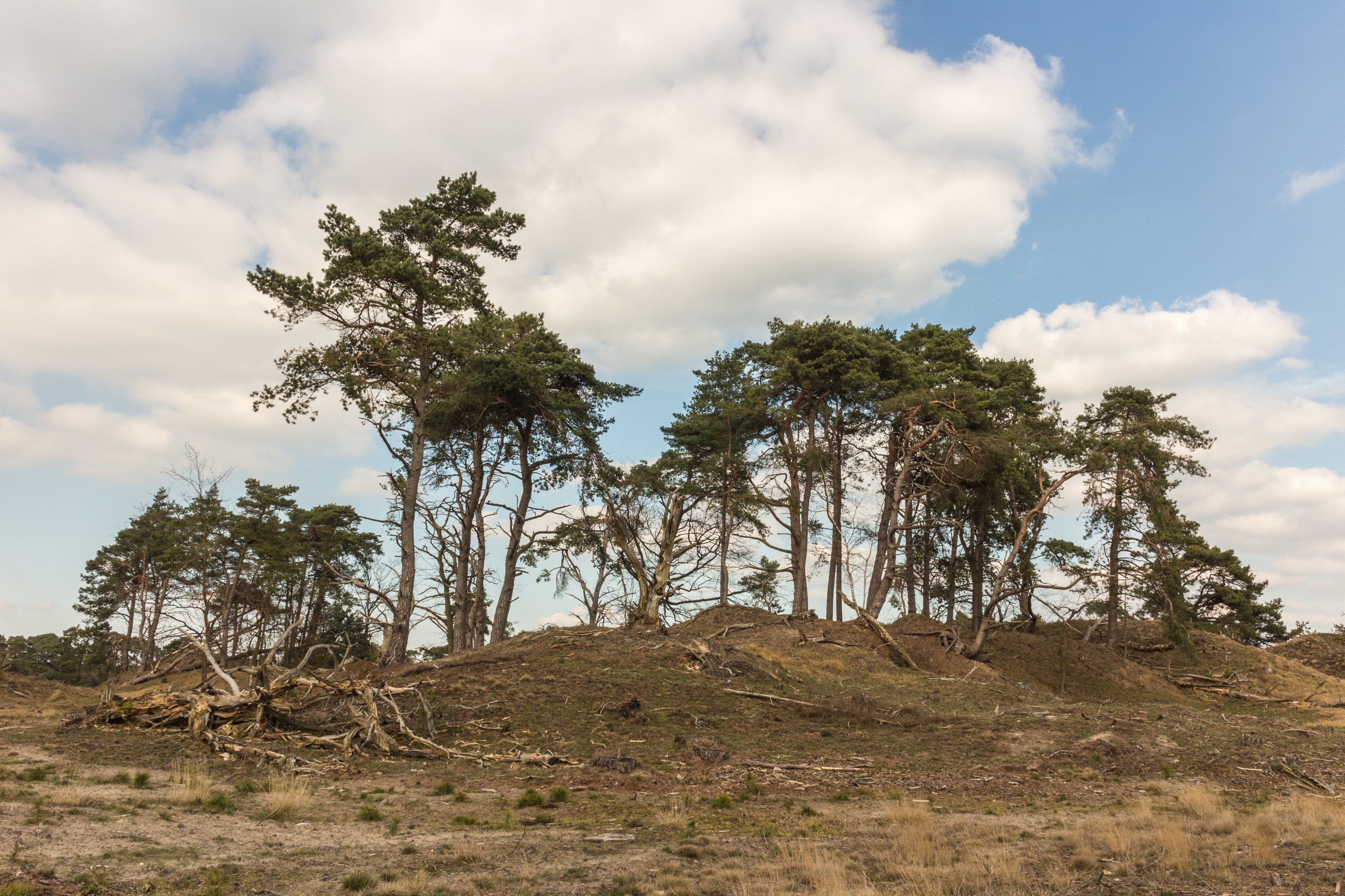 Wandeling over het Hulshorsterzand 33