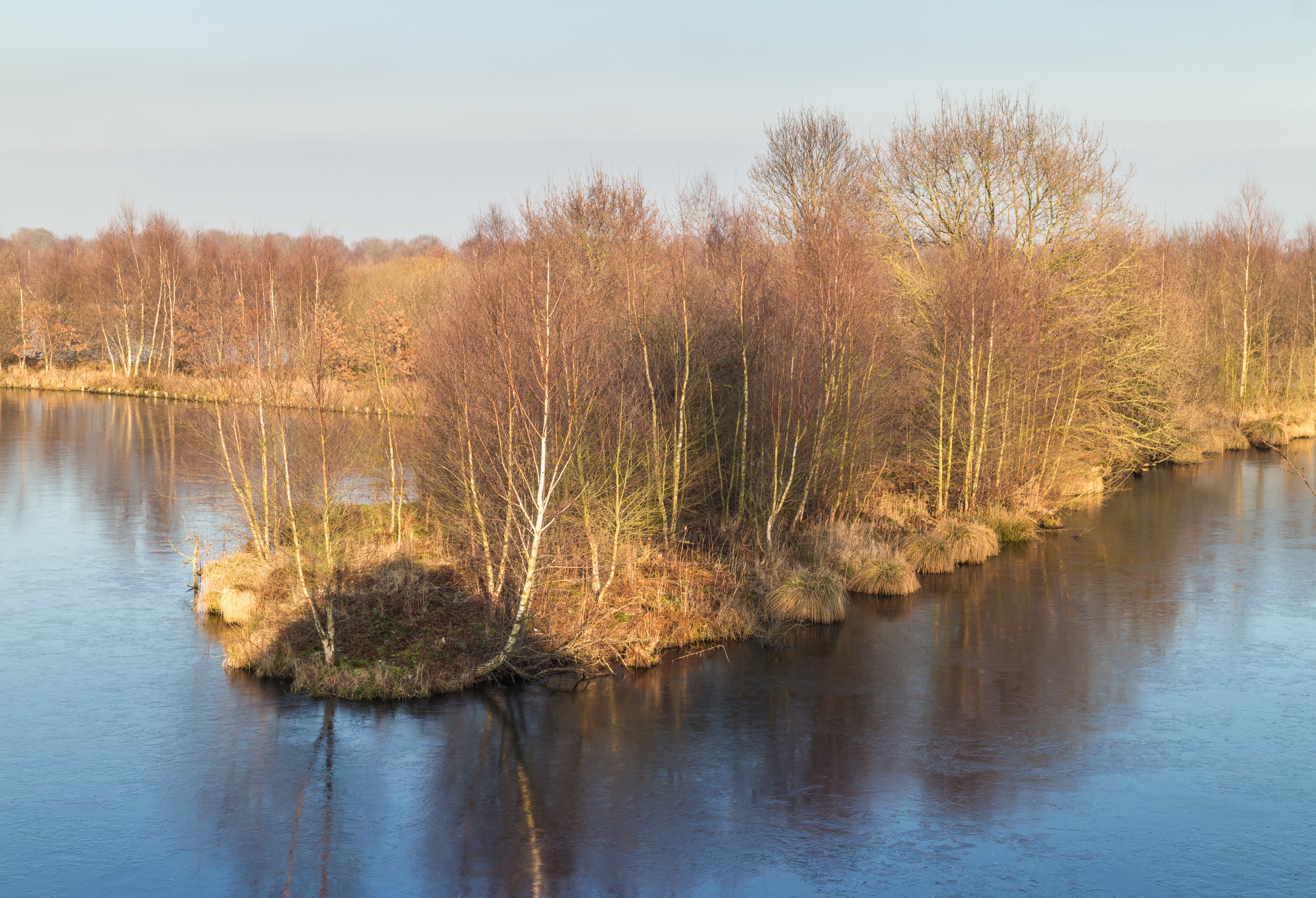 Wandelingen door de laagveenmoerassen De Deelen 049