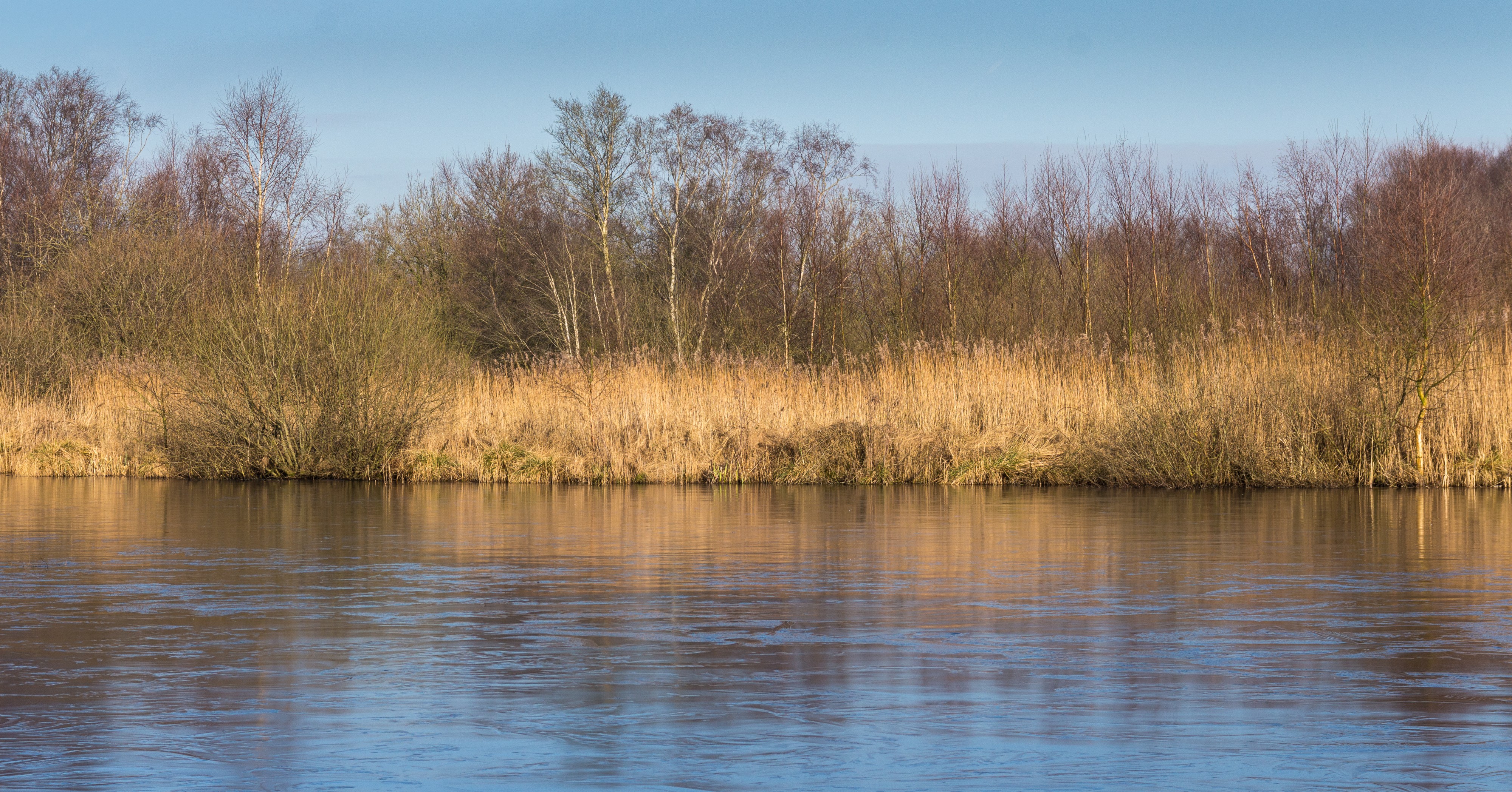 Wandelingen door de laagveenmoerassen De Deelen 11