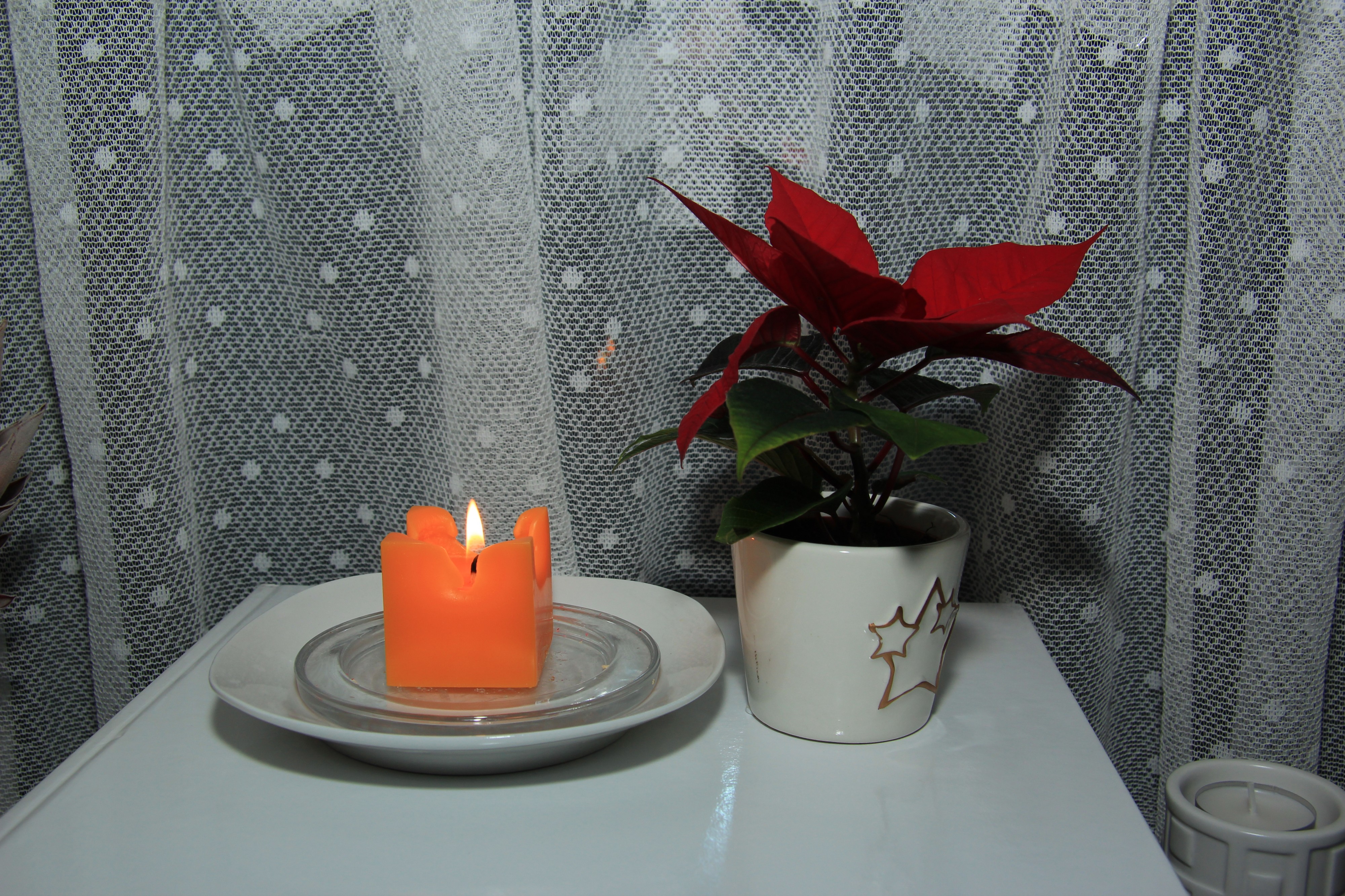 Weihnachtsstern 3928