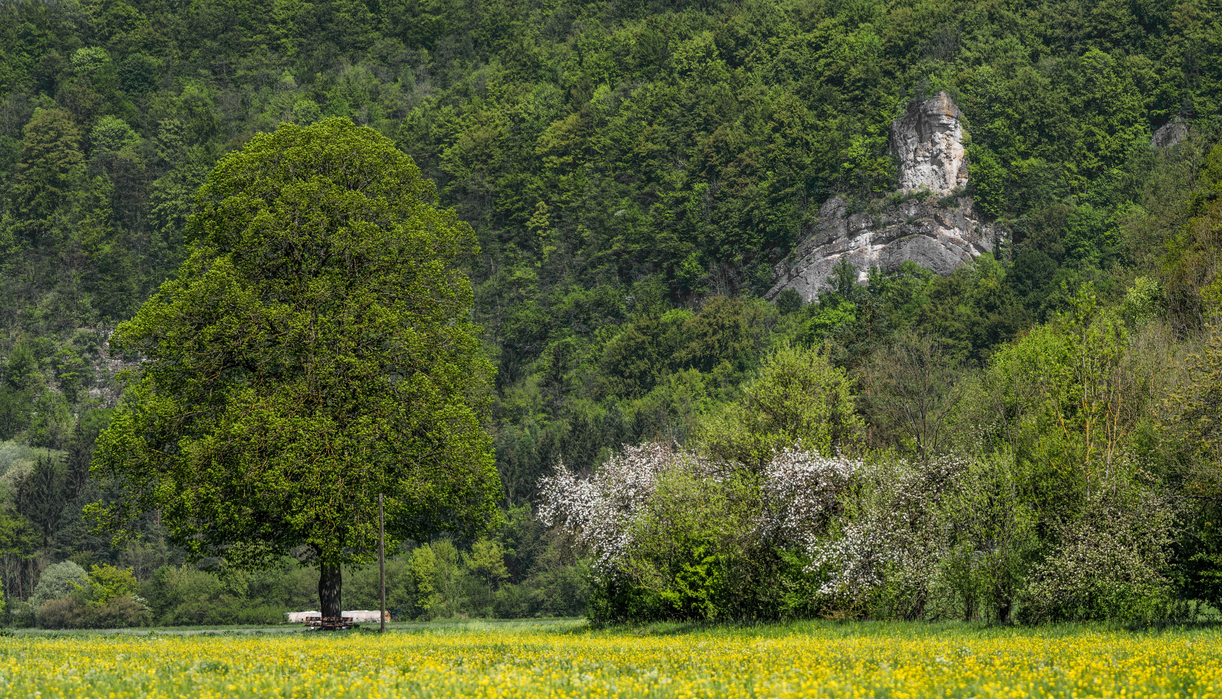 Wiesenttal-P5083450-Pano-PS