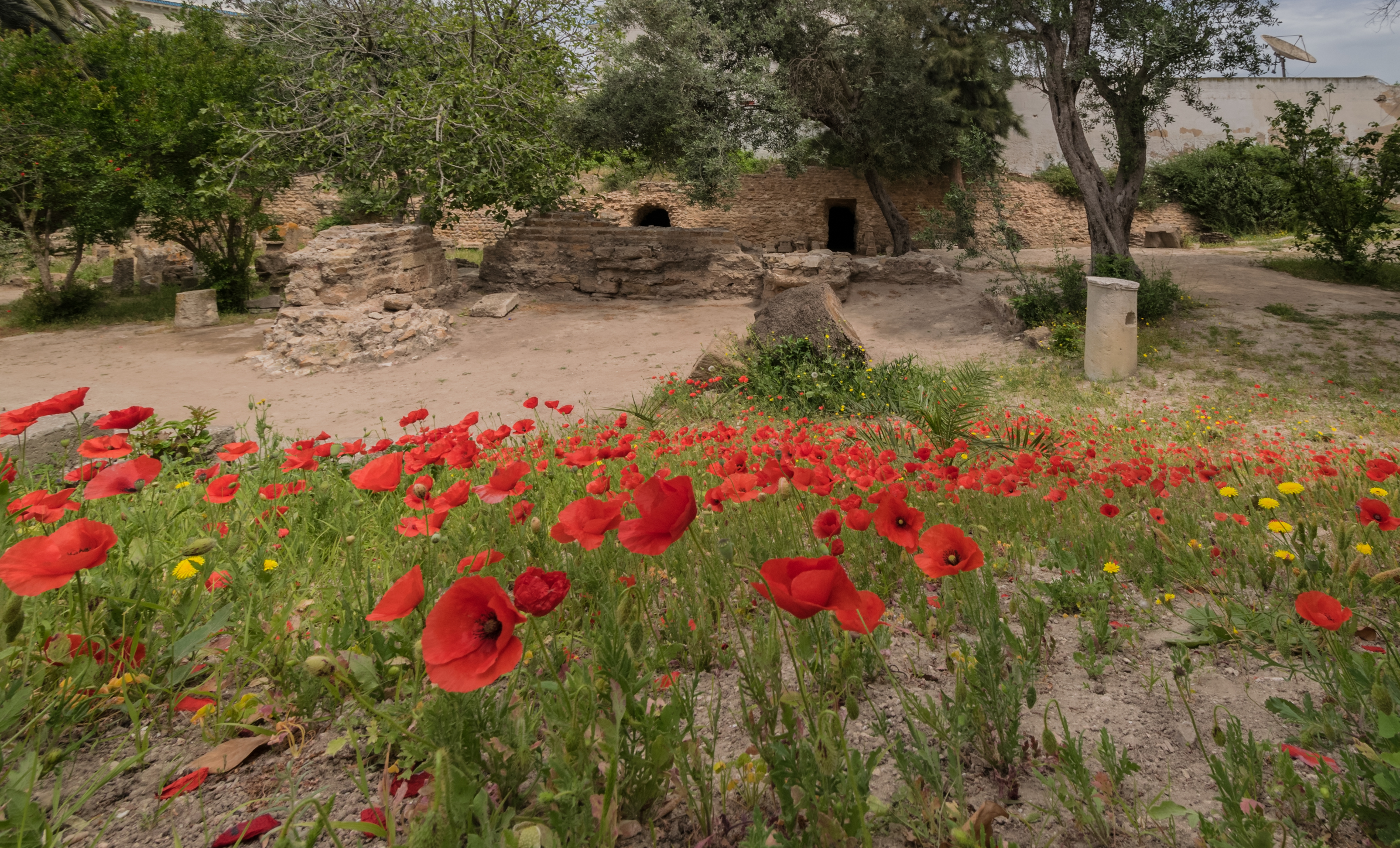 Tophet de Carthage