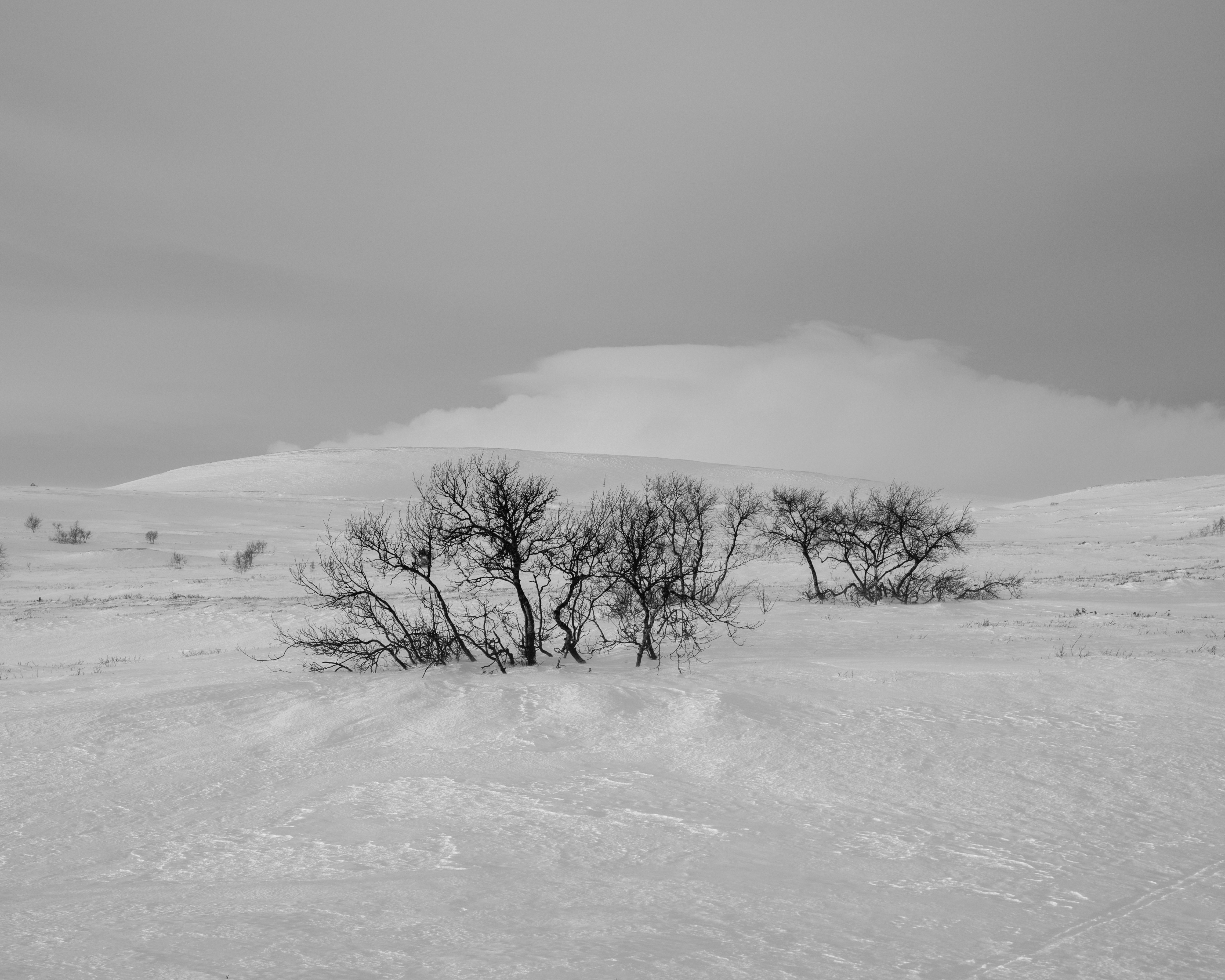 Torkilstöten December 2013 11