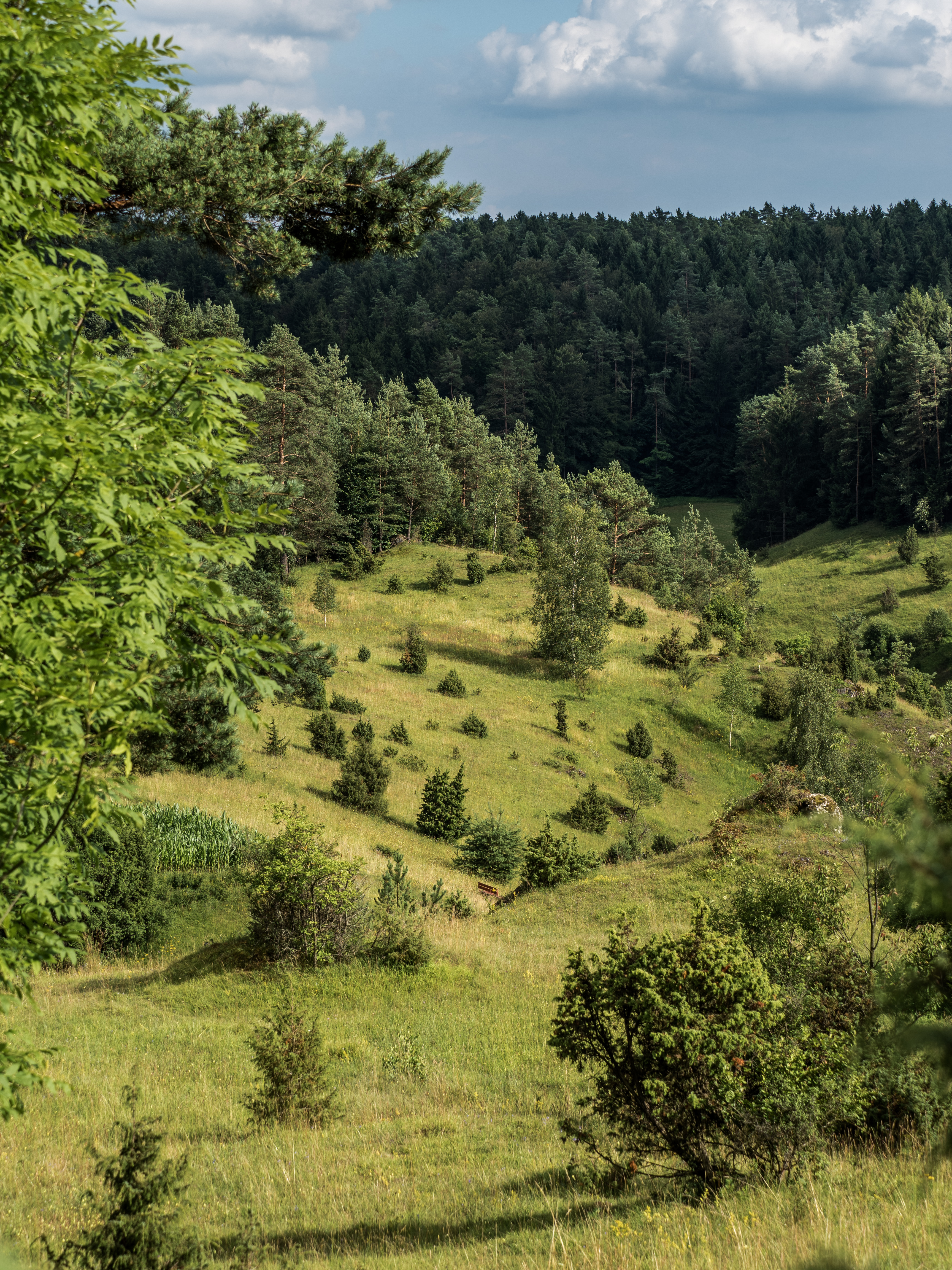 Trockenhänge-Pottenstein-7171194