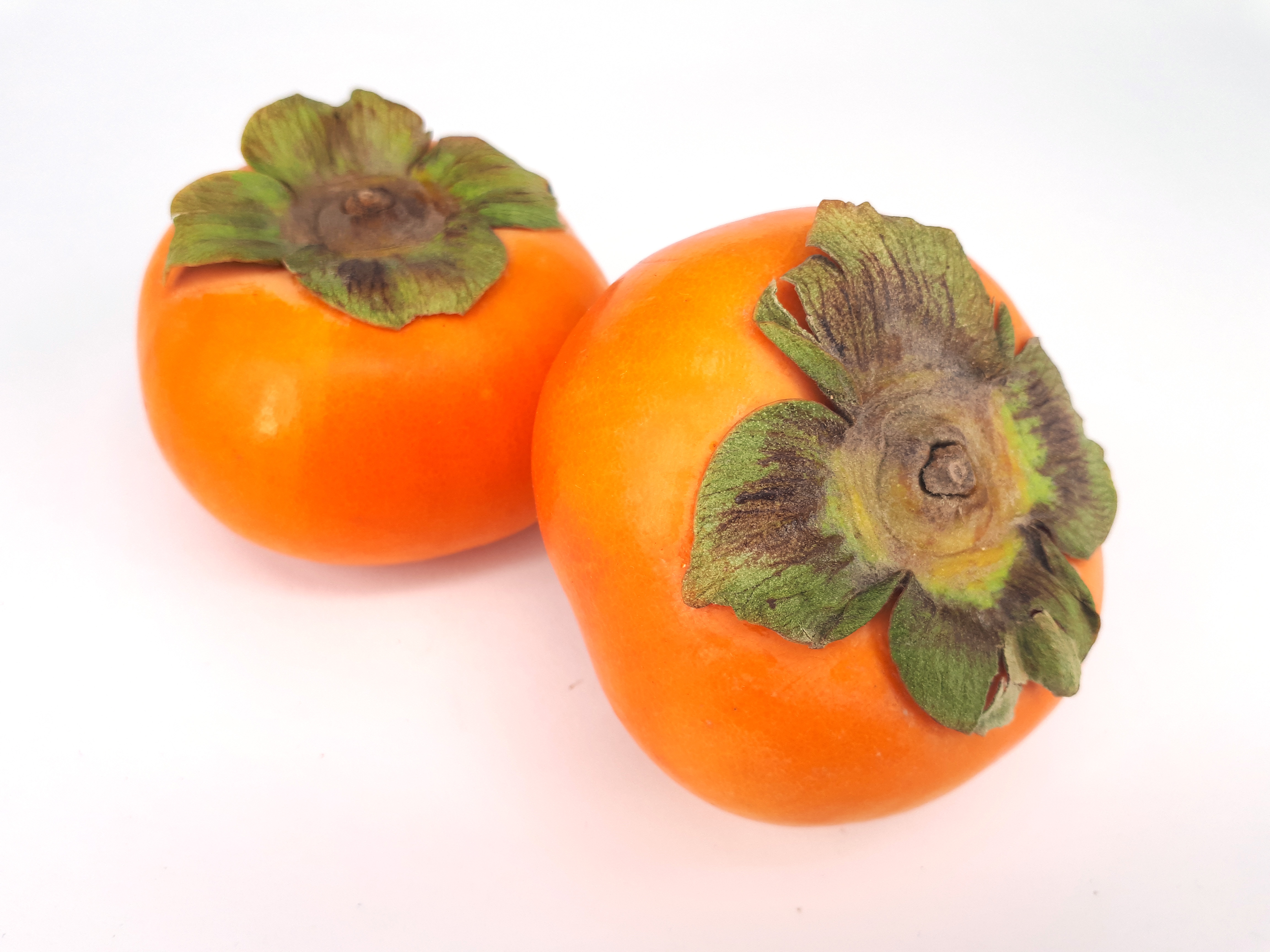 Two persimmons 2017 A3