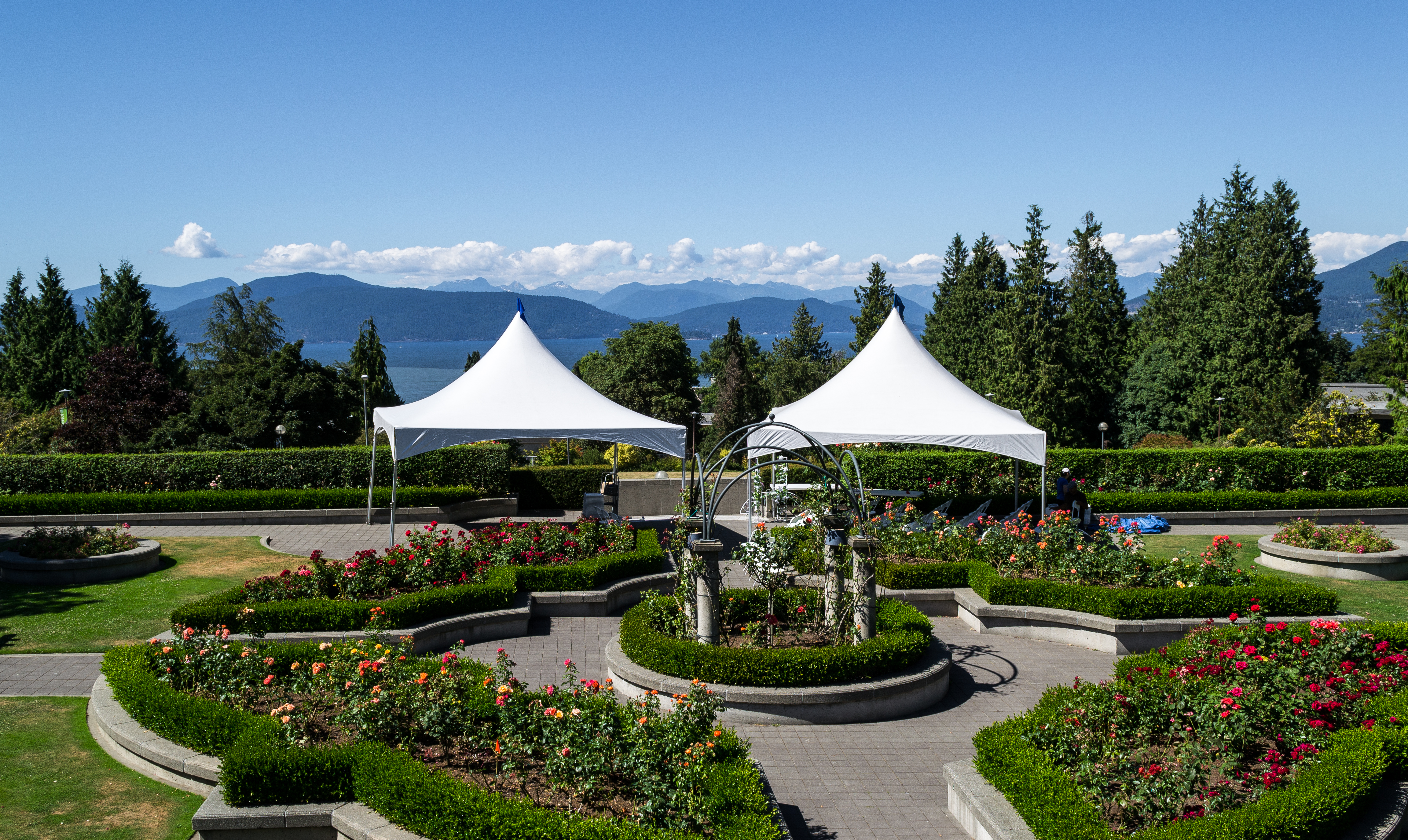 UBC Rose Garden 01