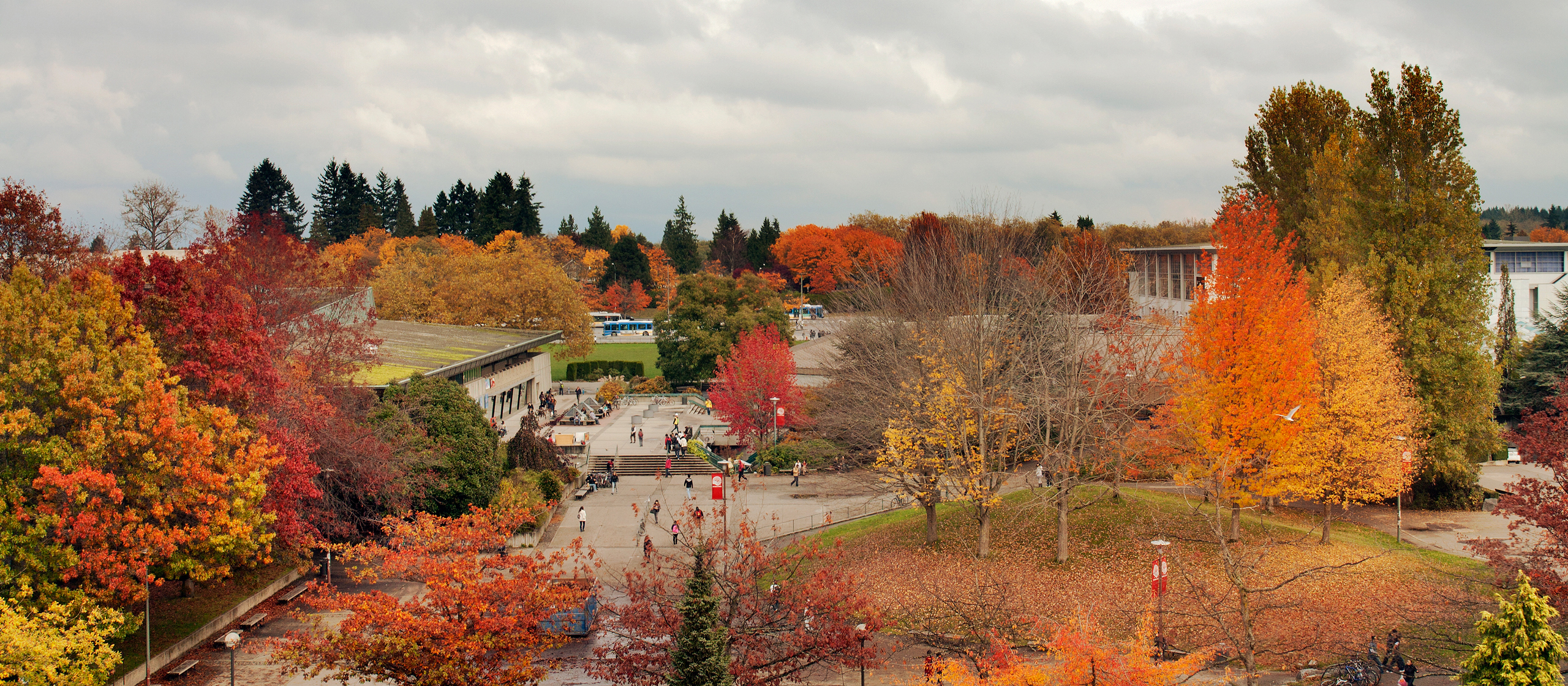 UBC SUB