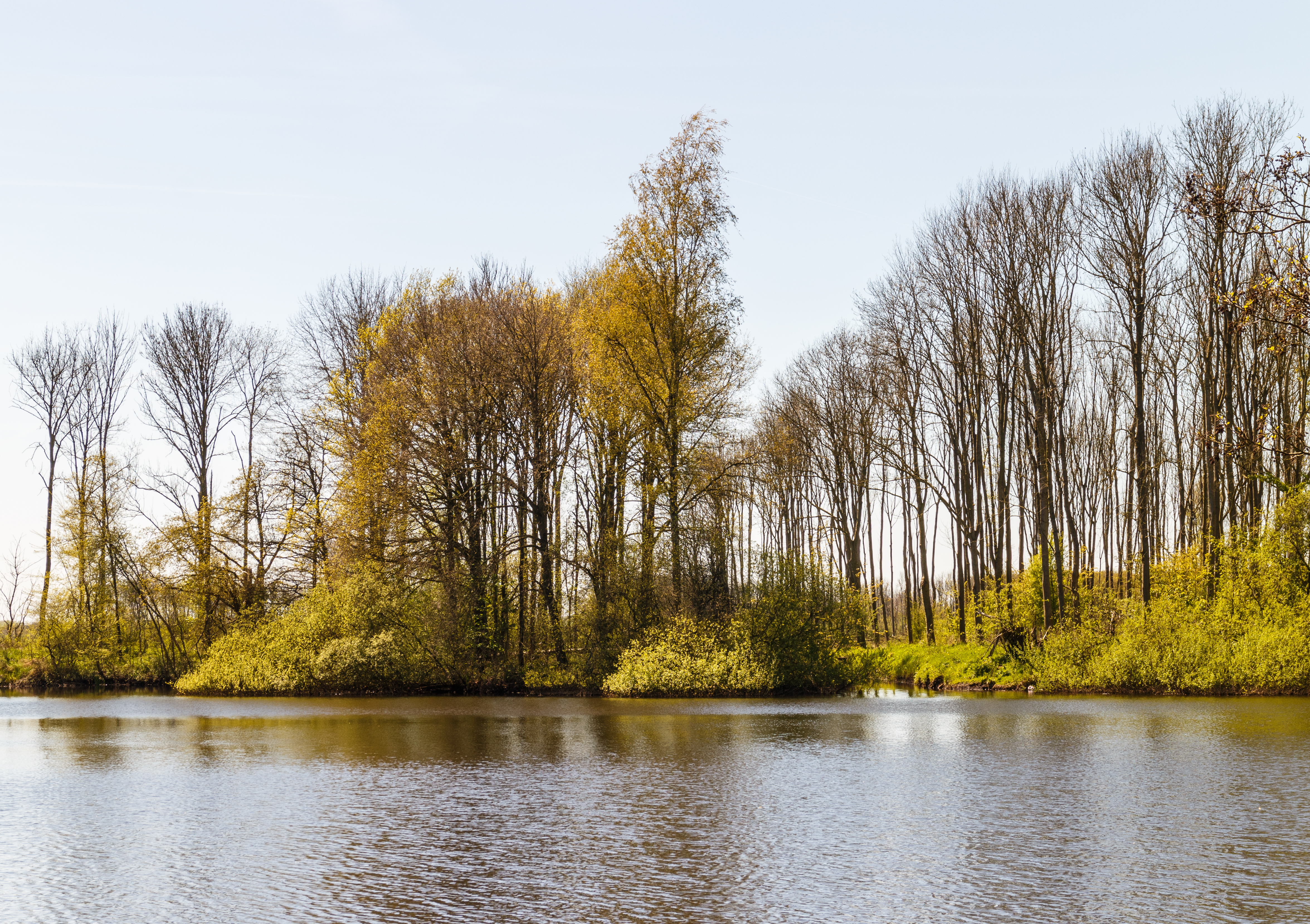 Uitzicht over de Bekhofplas. Locatie, natuurterrein Beekdal Linde Bekhofplas 01
