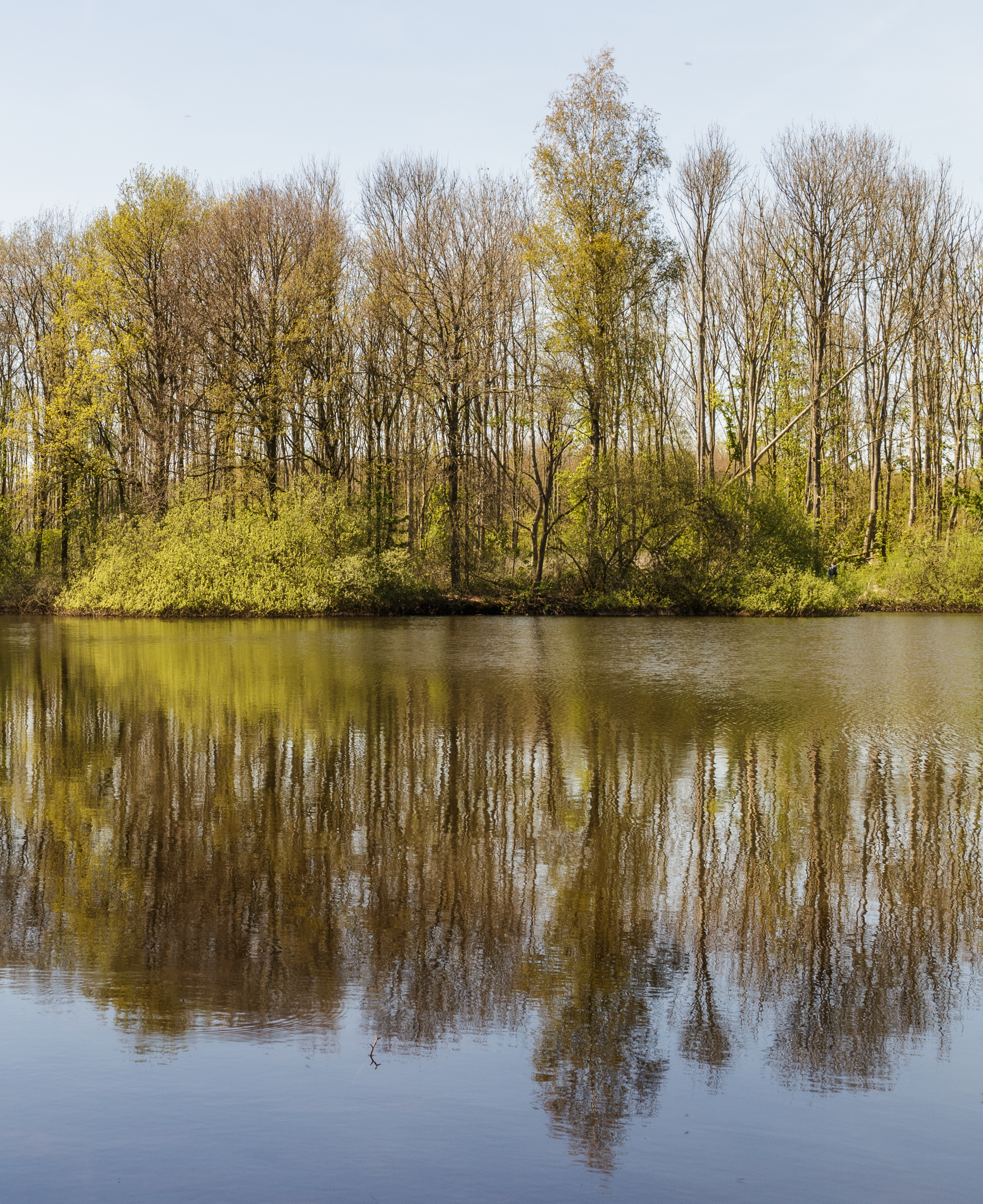 Uitzicht over de Bekhofplas. Locatie, natuurterrein Beekdal Linde Bekhofplas 15