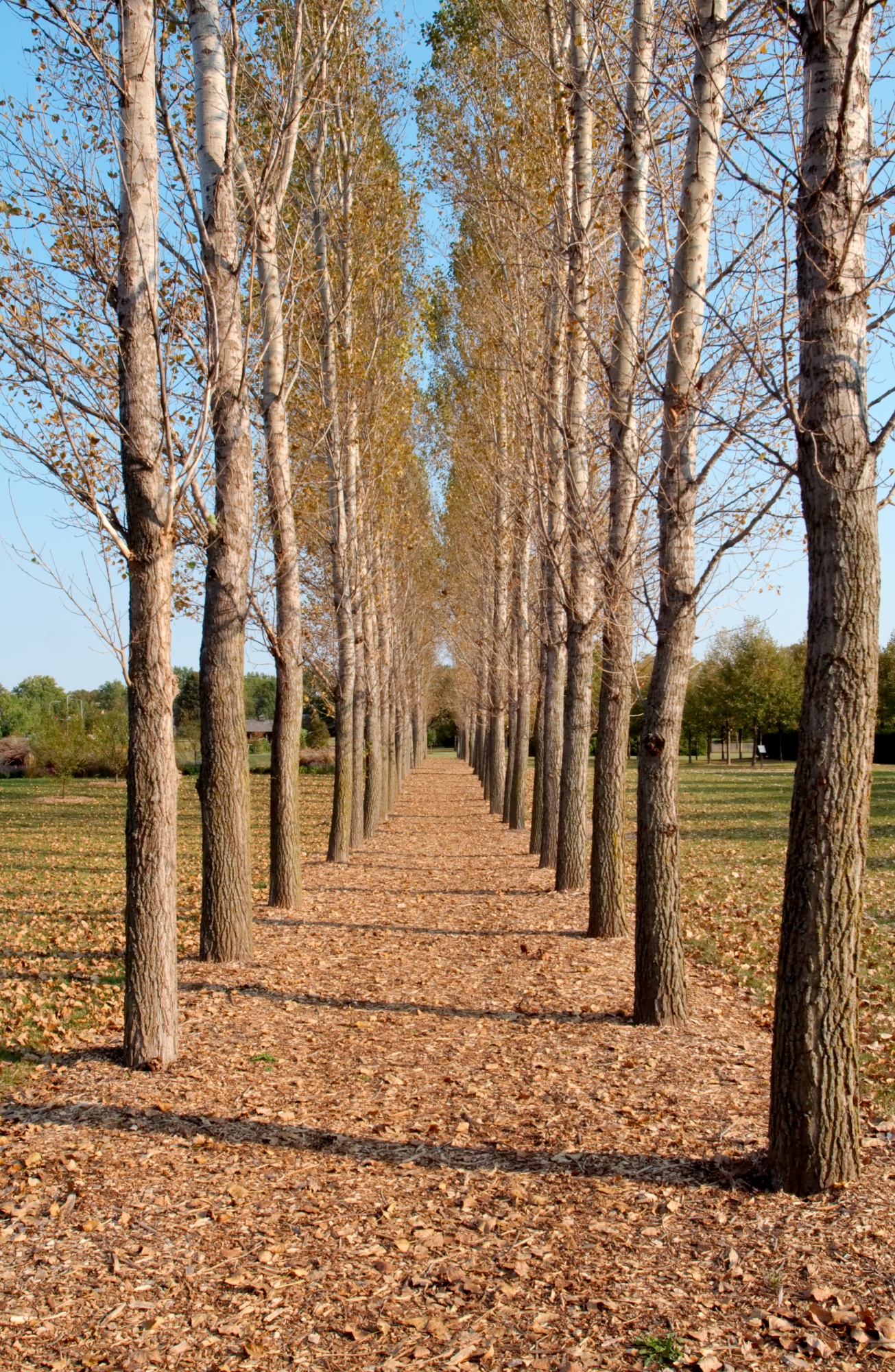 UIUC Arboretum 20070923 img 1962