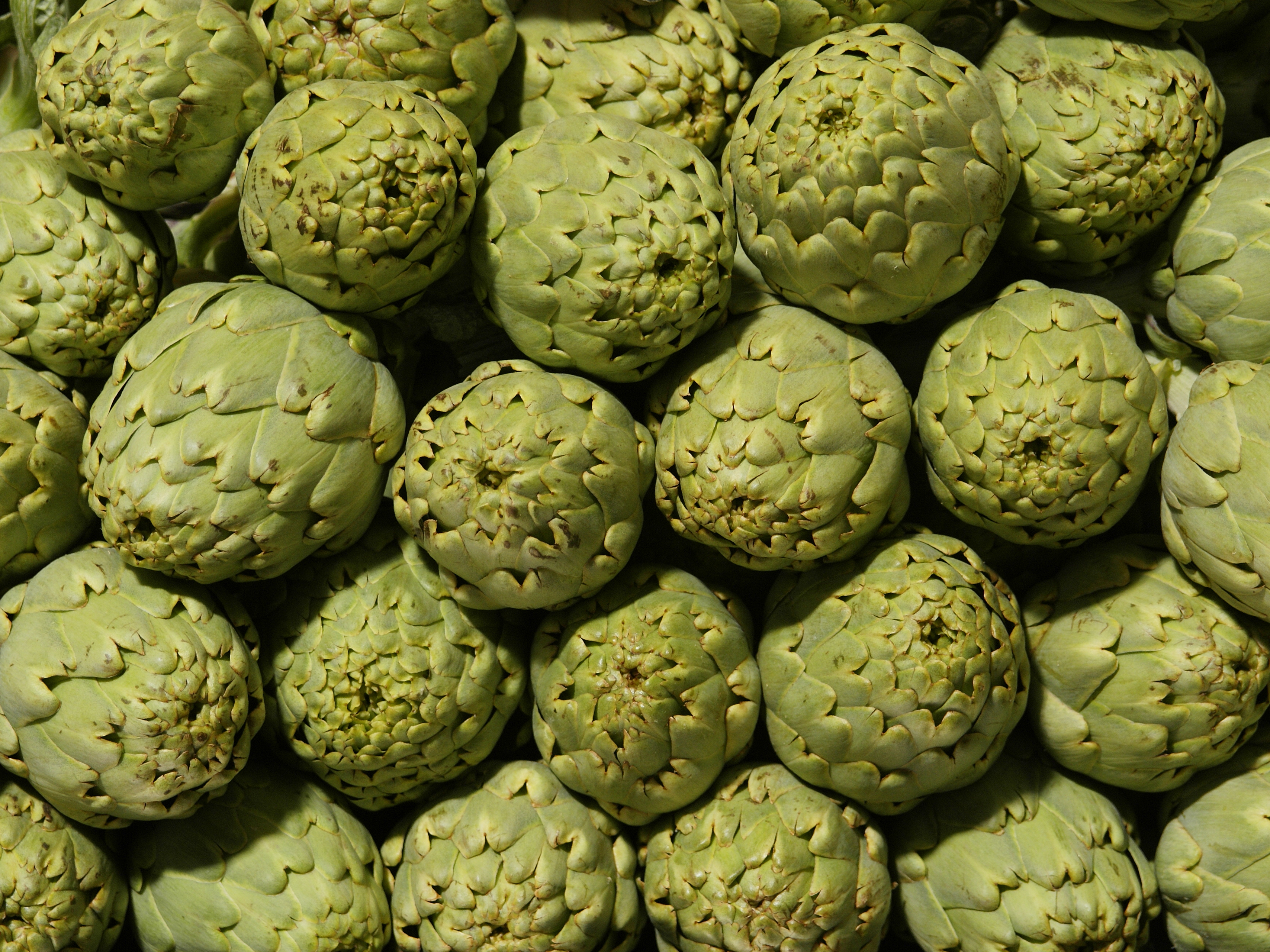 Valencia market - artichokes