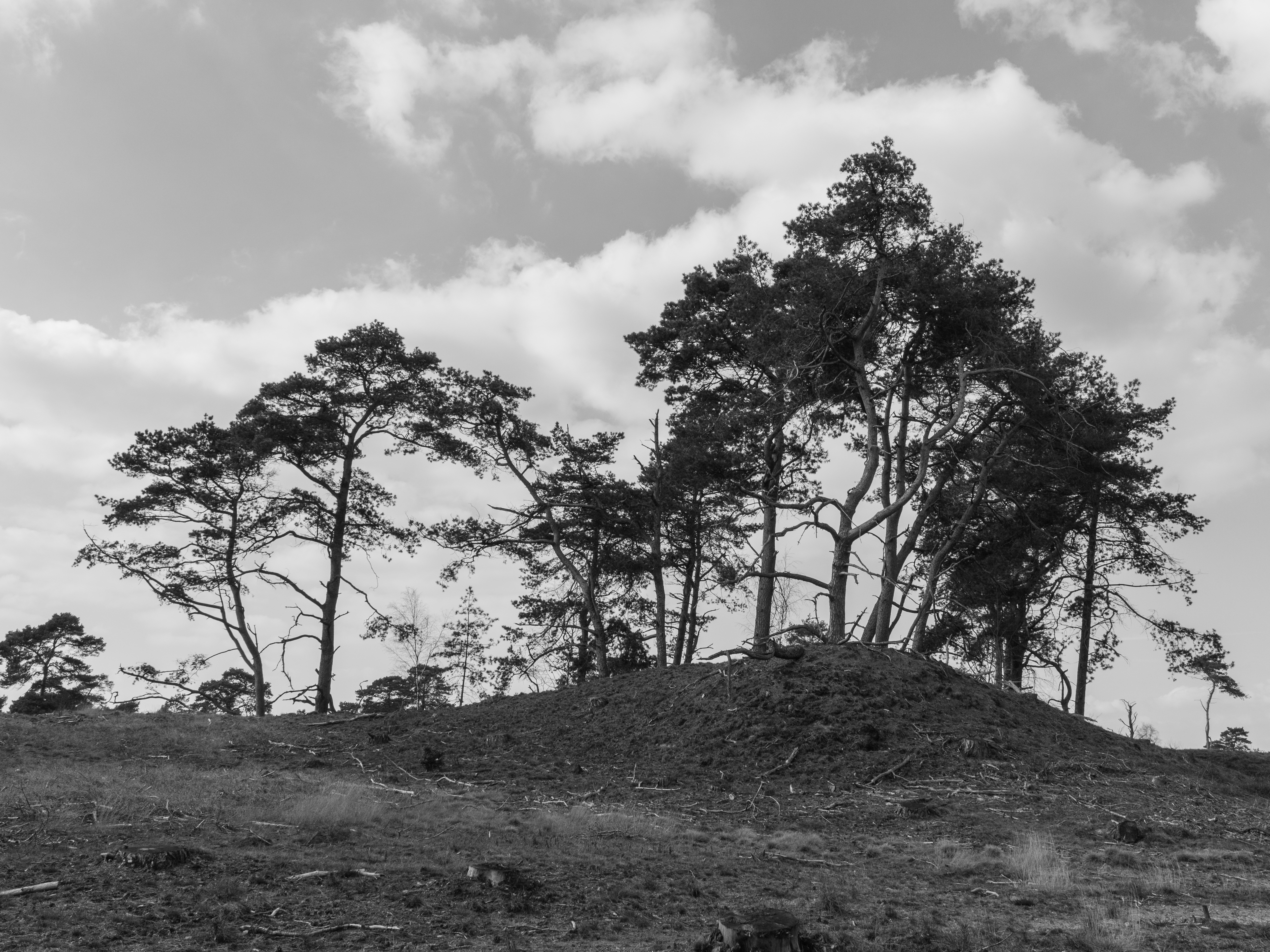 Wandeling over het Hulshorsterzand 35