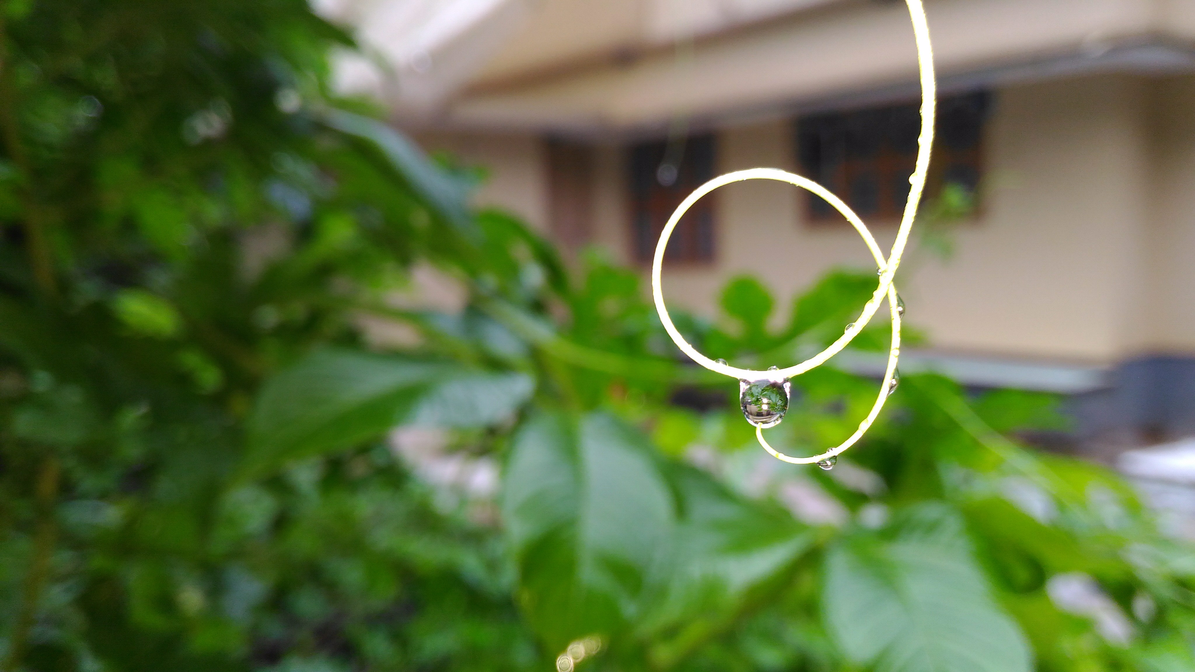 Water drop in a rainy day