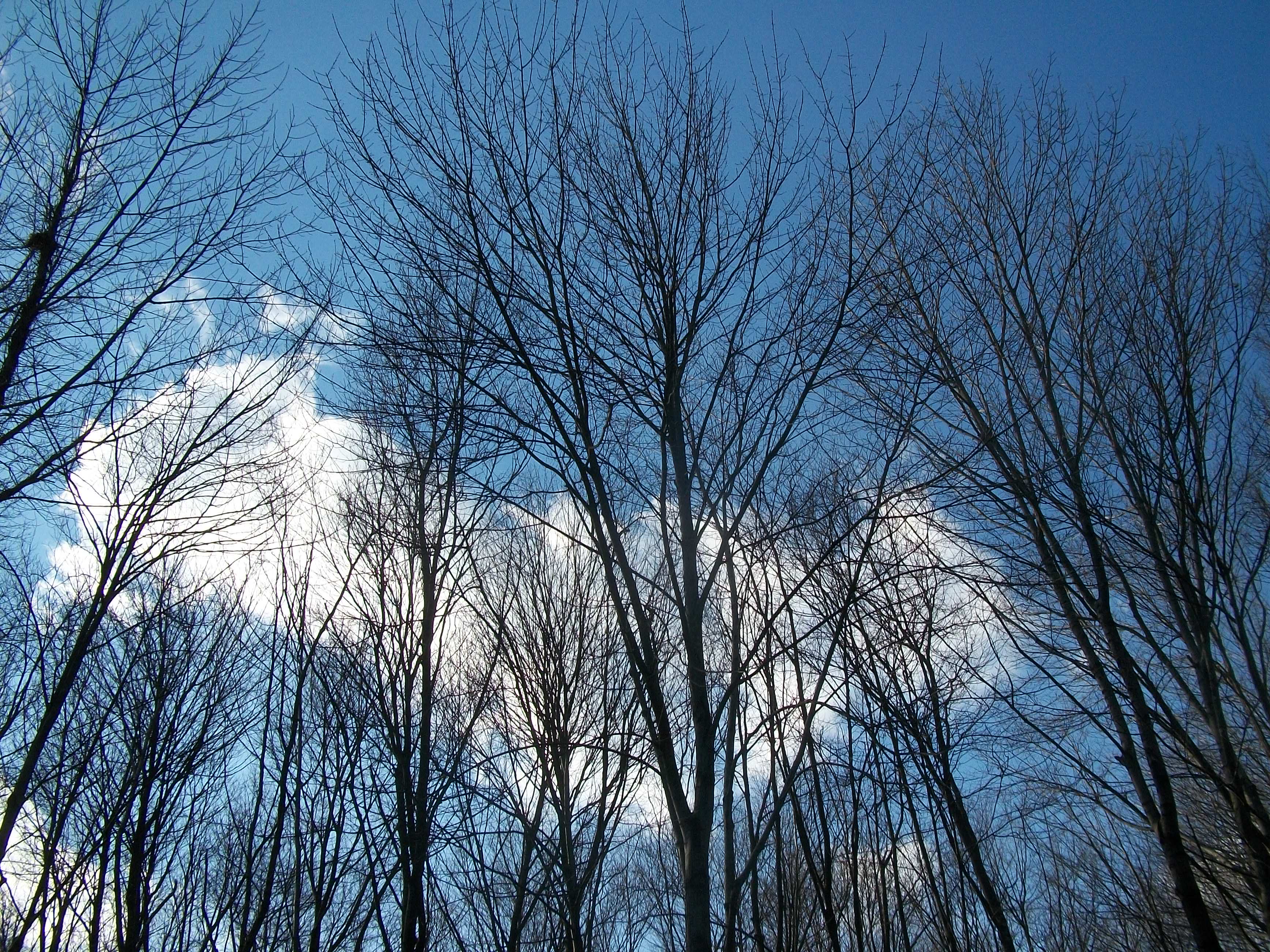 Winter Sky New Jersey
